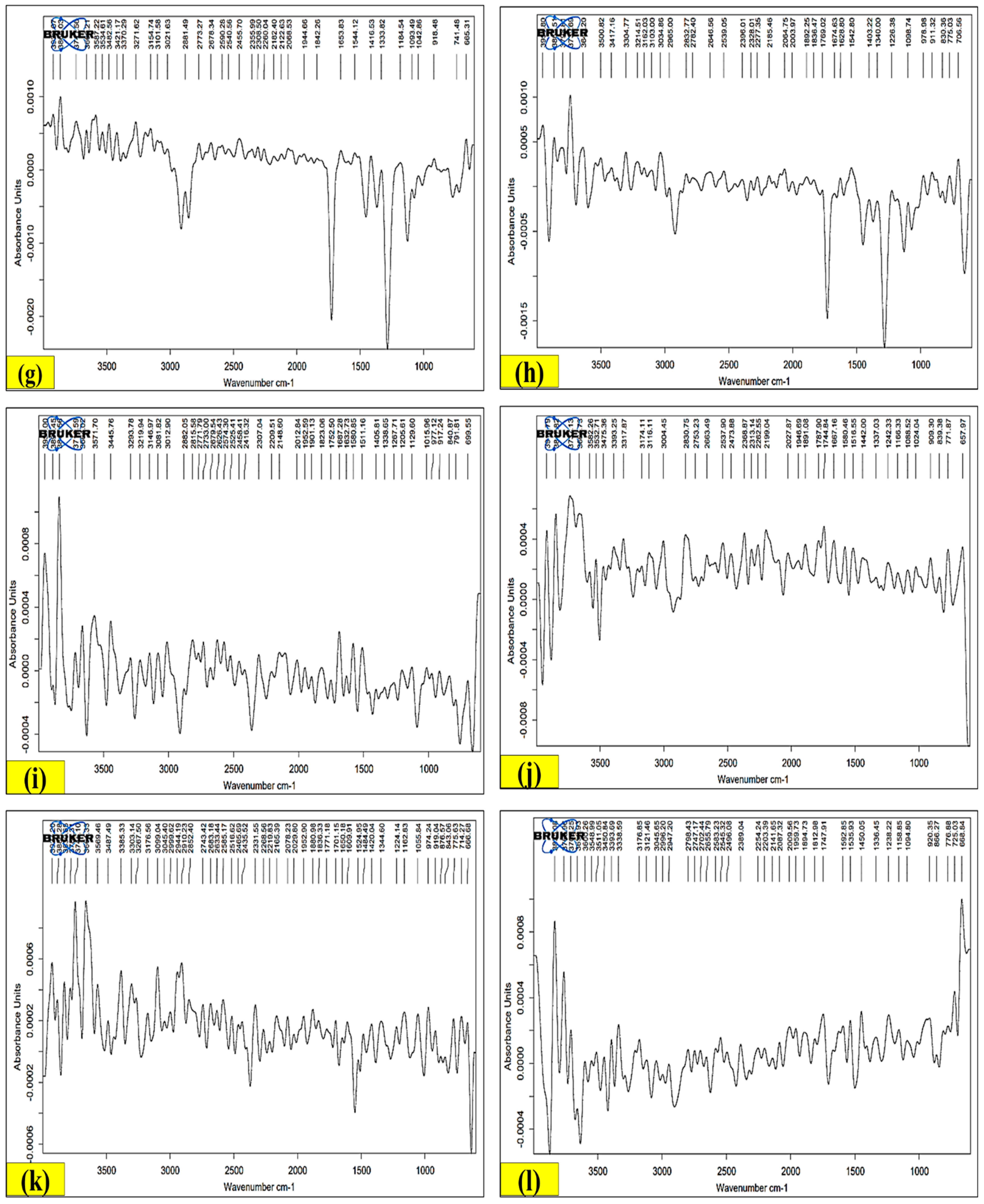 Antioxidants 13 00794 g006b