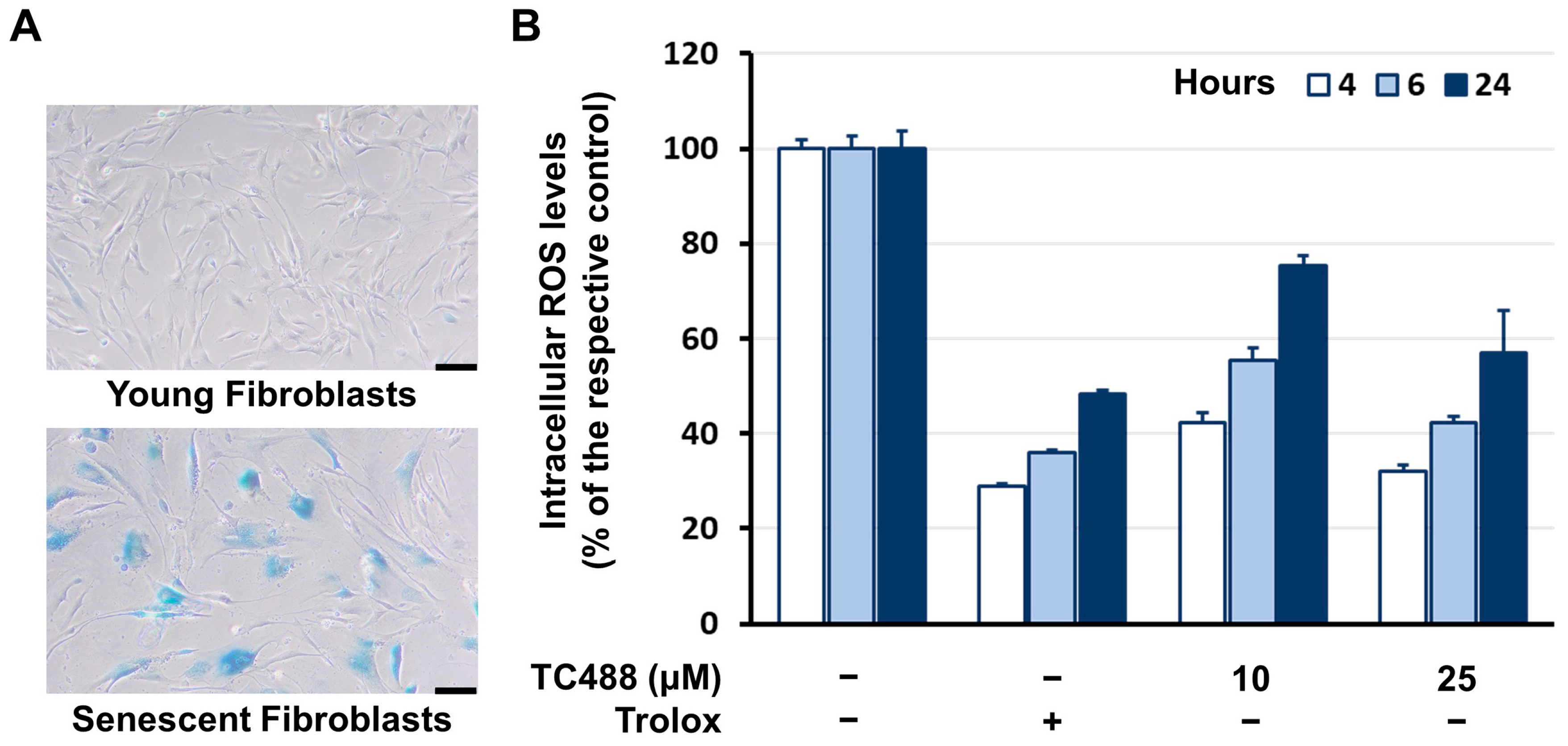 Antioxidants 13 00798 g005