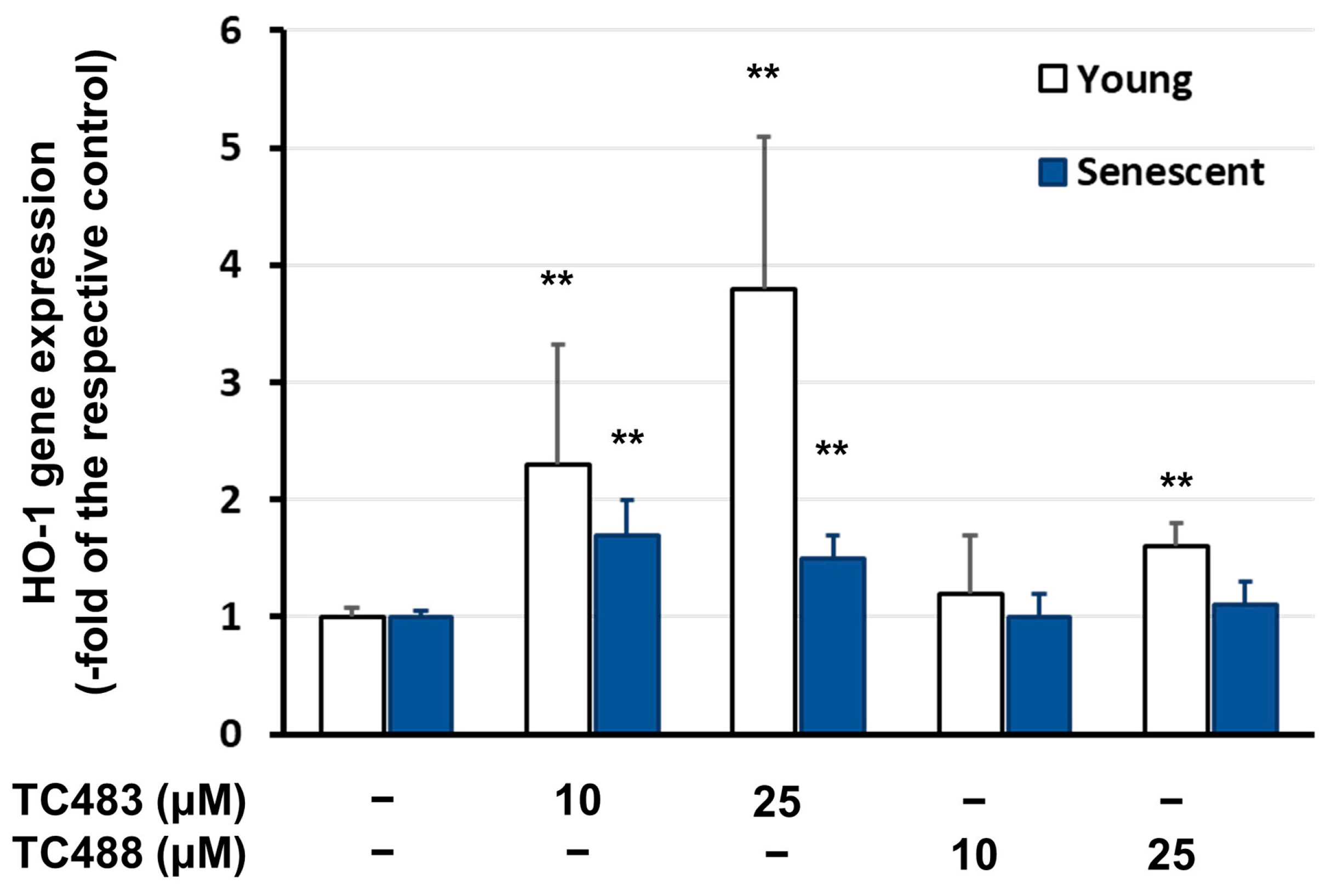 Antioxidants 13 00798 g010