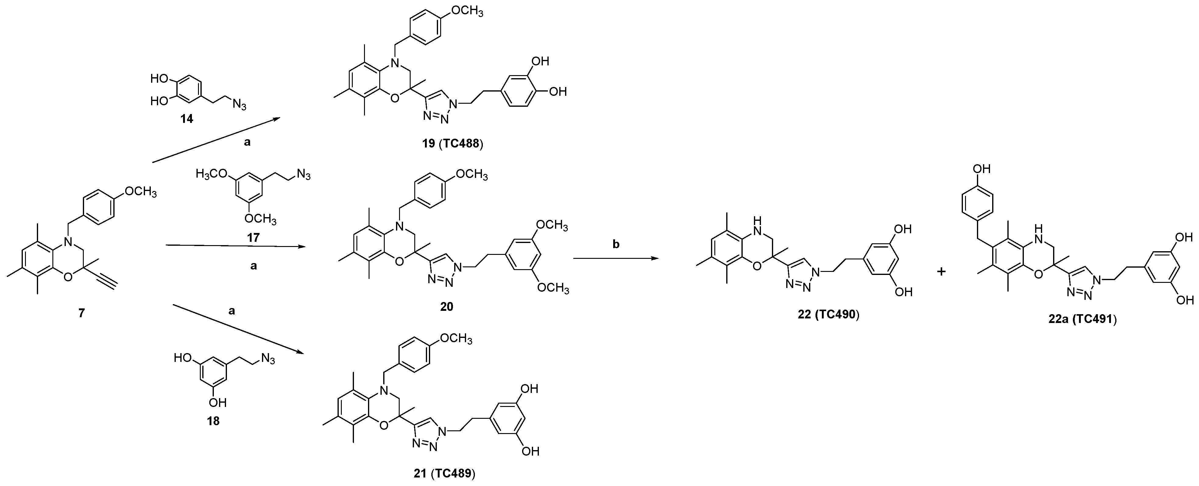 Antioxidants 13 00798 sch004