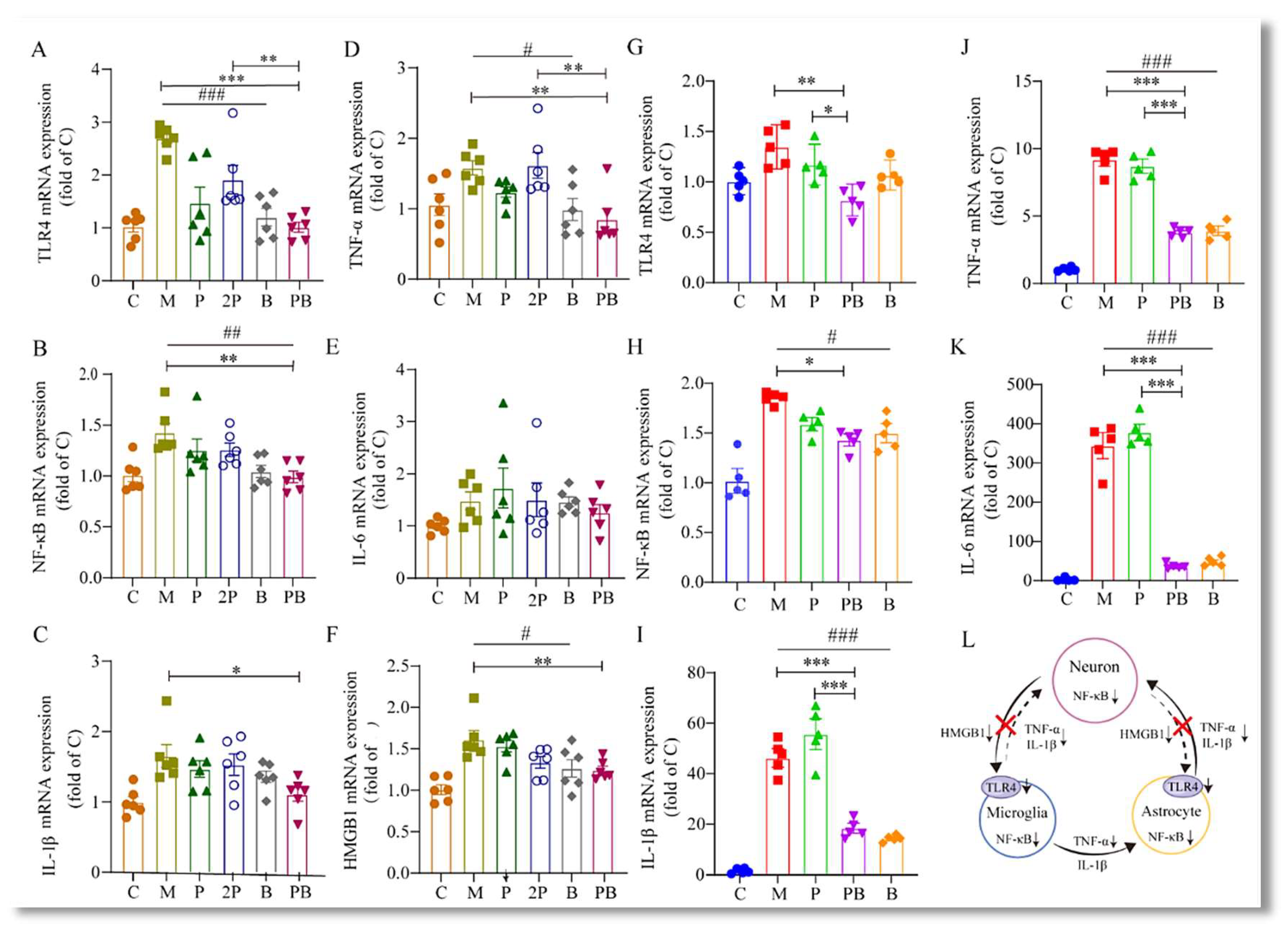 Antioxidants 13 00803 g006