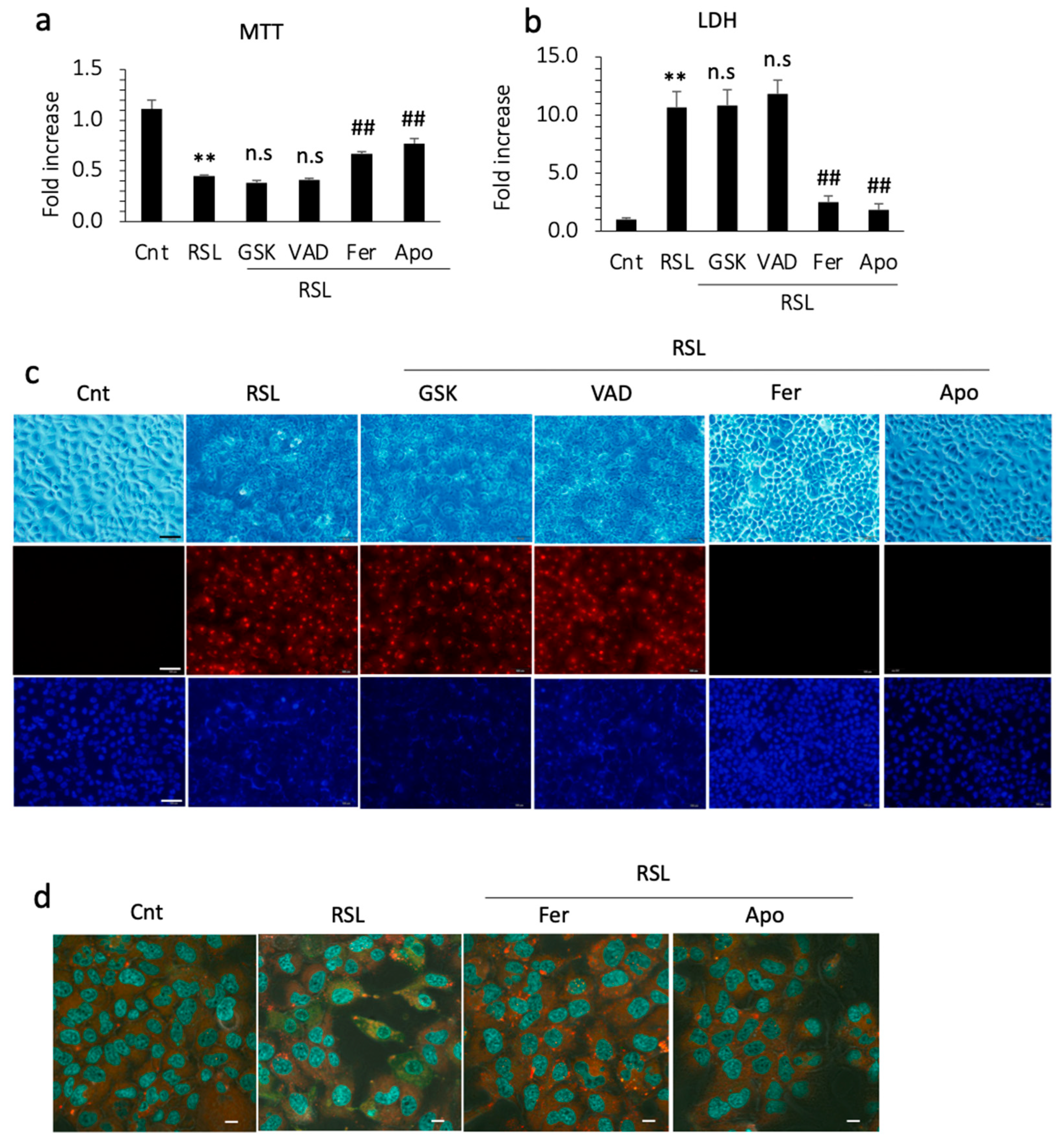 Antioxidants 13 00805 g004