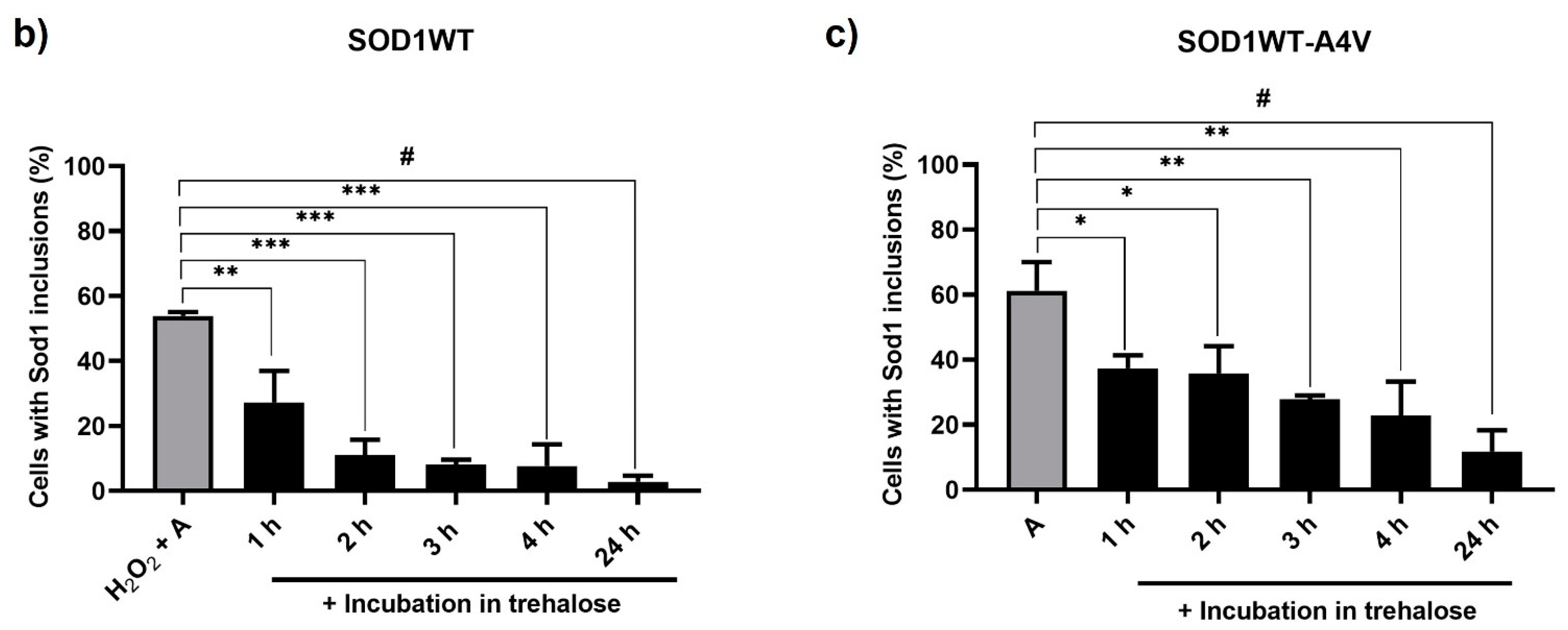 Antioxidants 13 00807 g002b