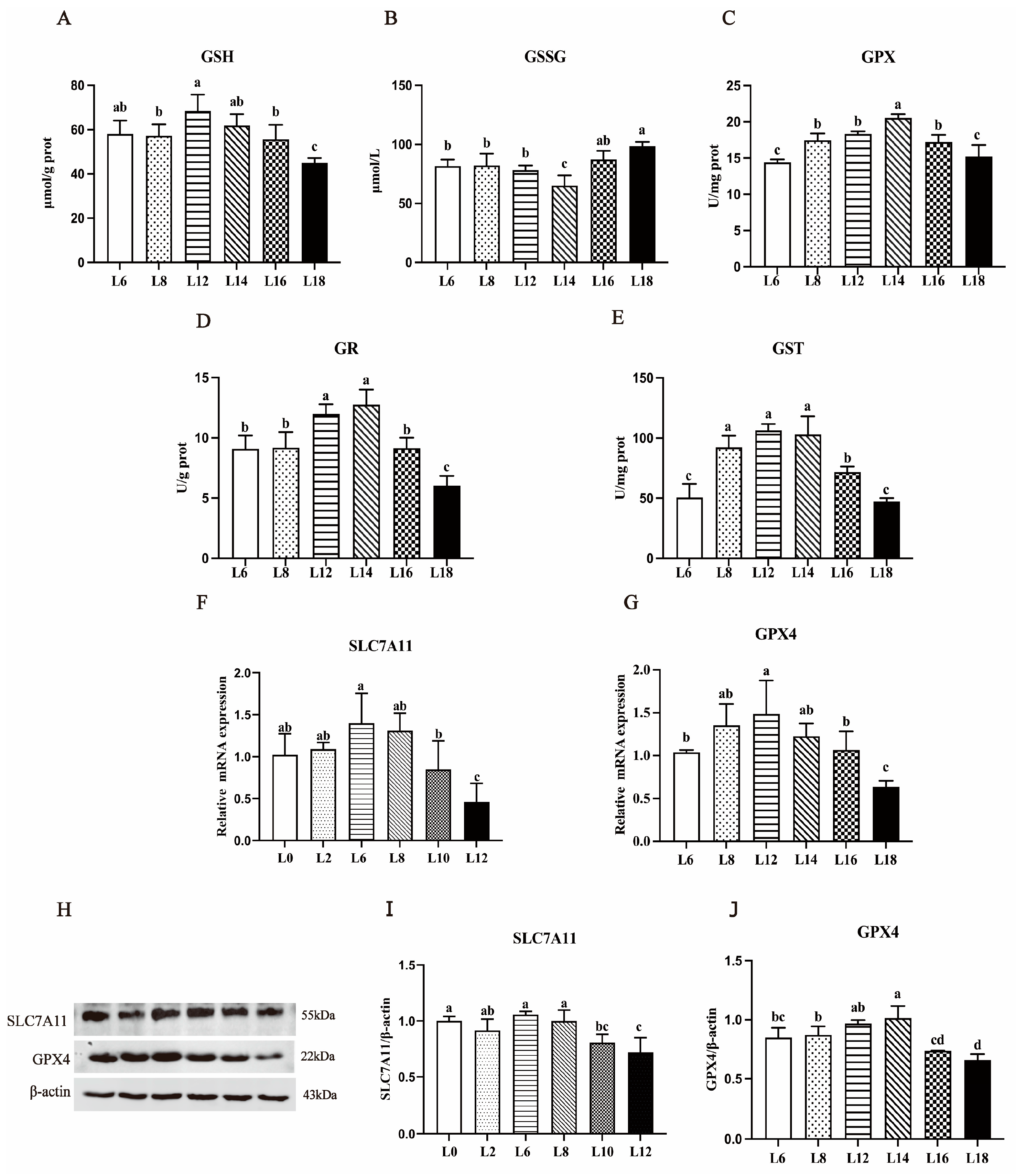 Antioxidants 13 00808 g003
