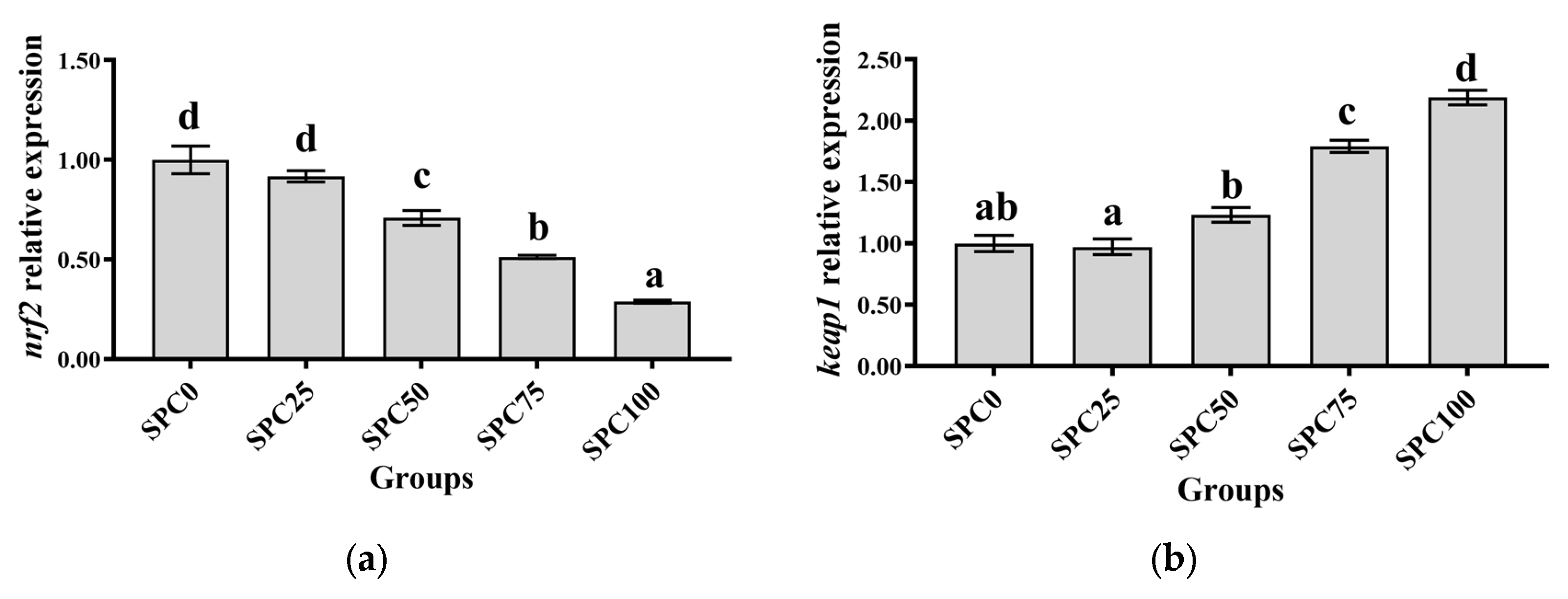 Antioxidants 13 00809 g004a