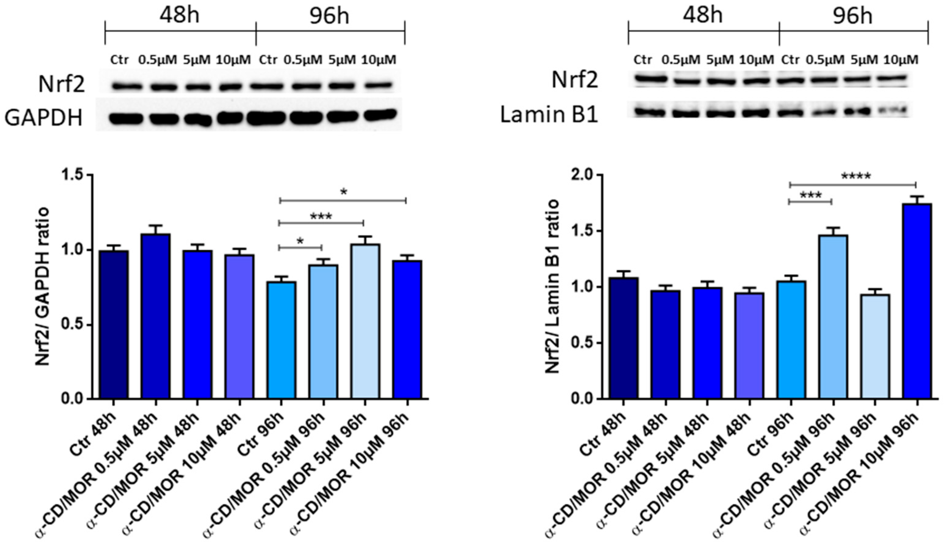 Antioxidants 13 00813 g002