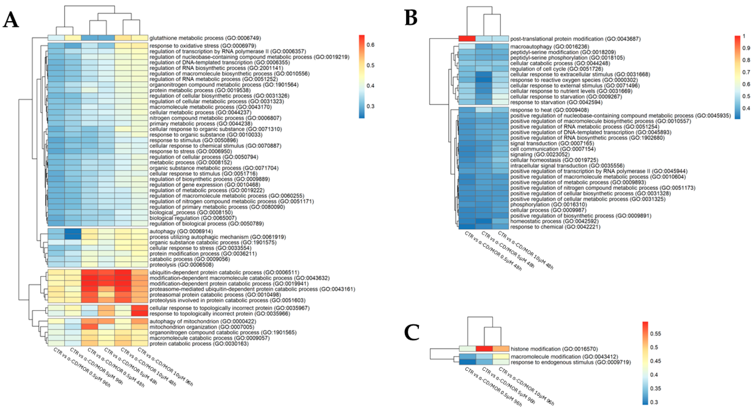 Antioxidants 13 00813 g003