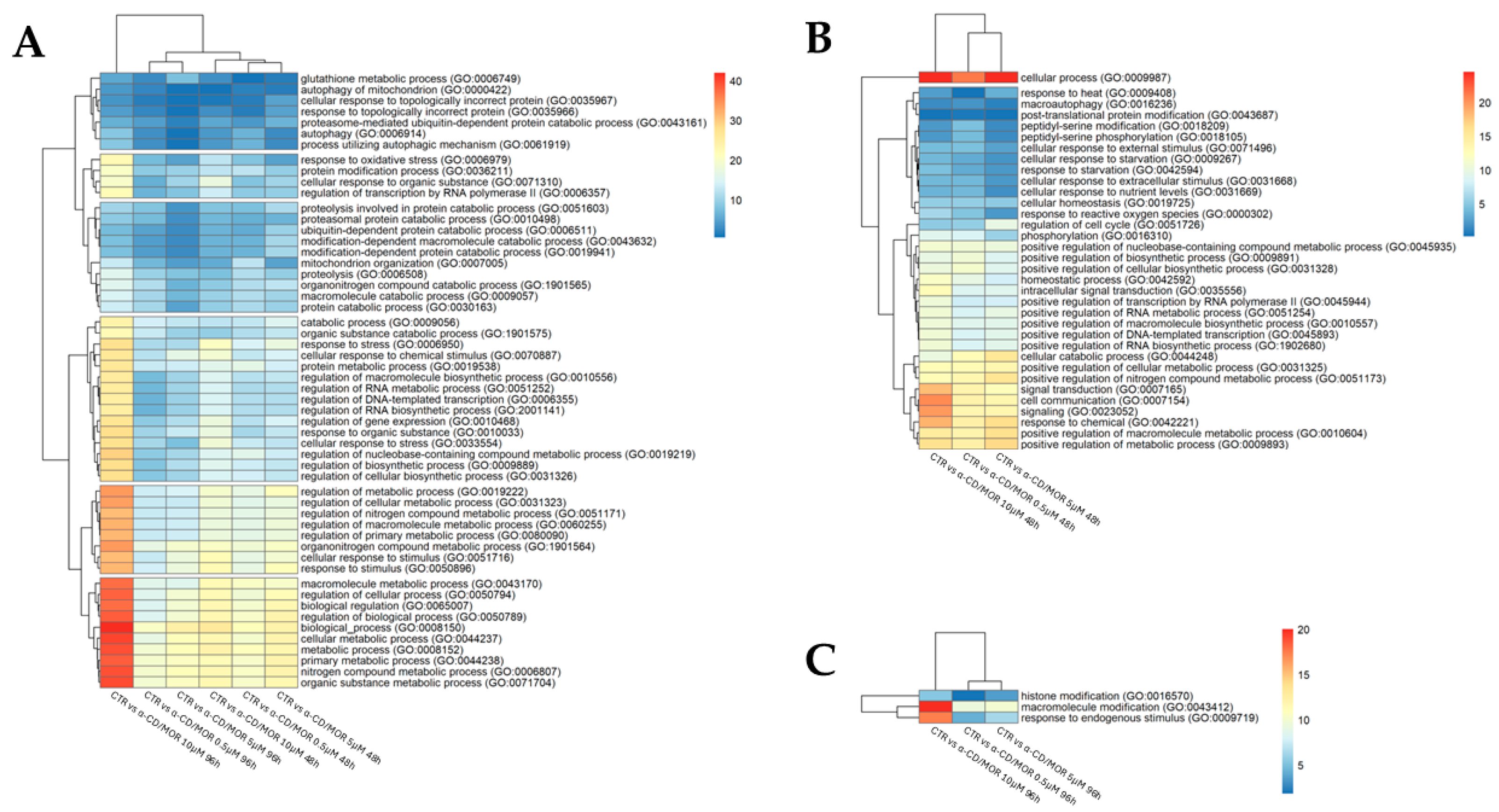 Antioxidants 13 00813 g004