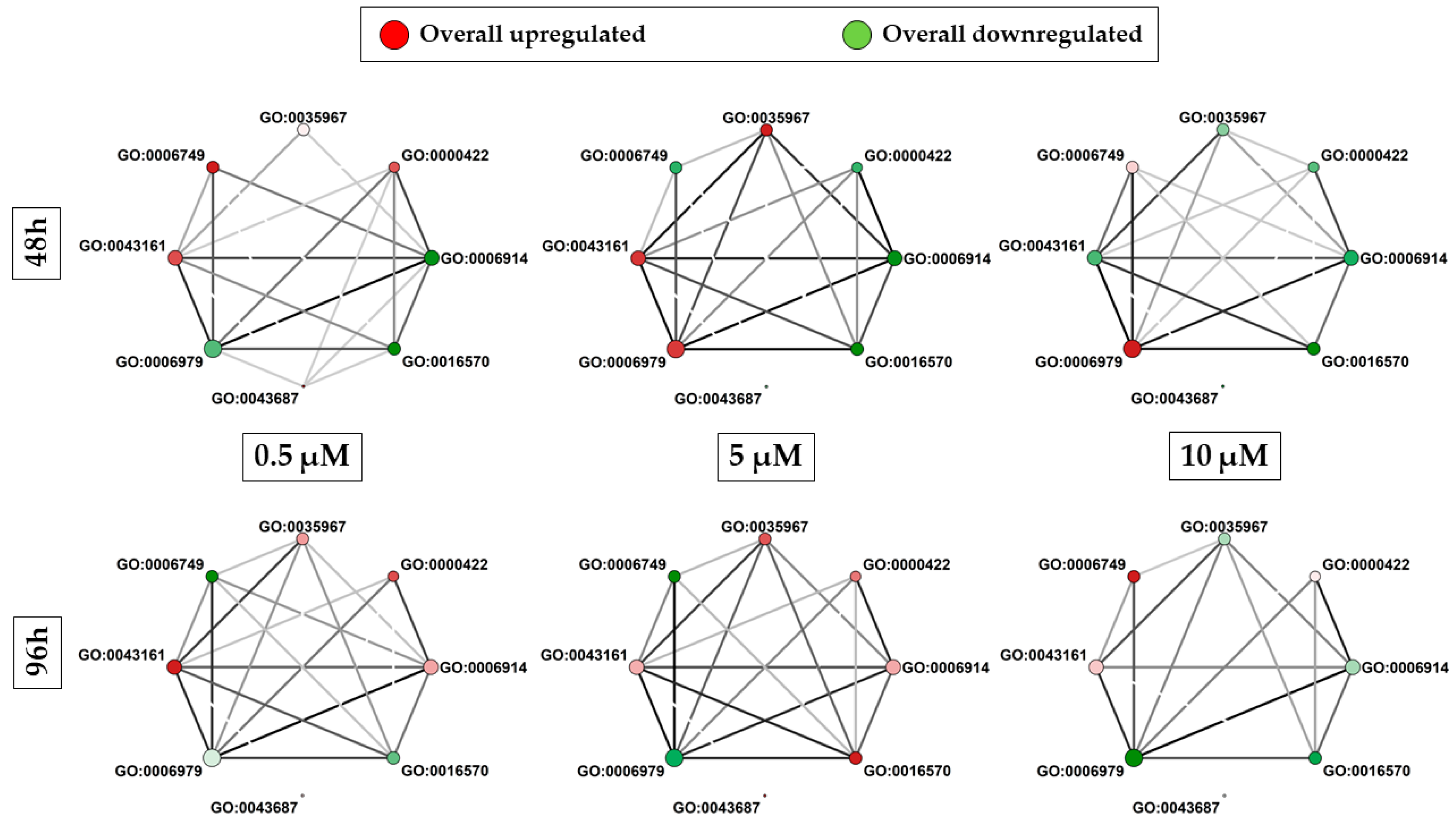 Antioxidants 13 00813 g005