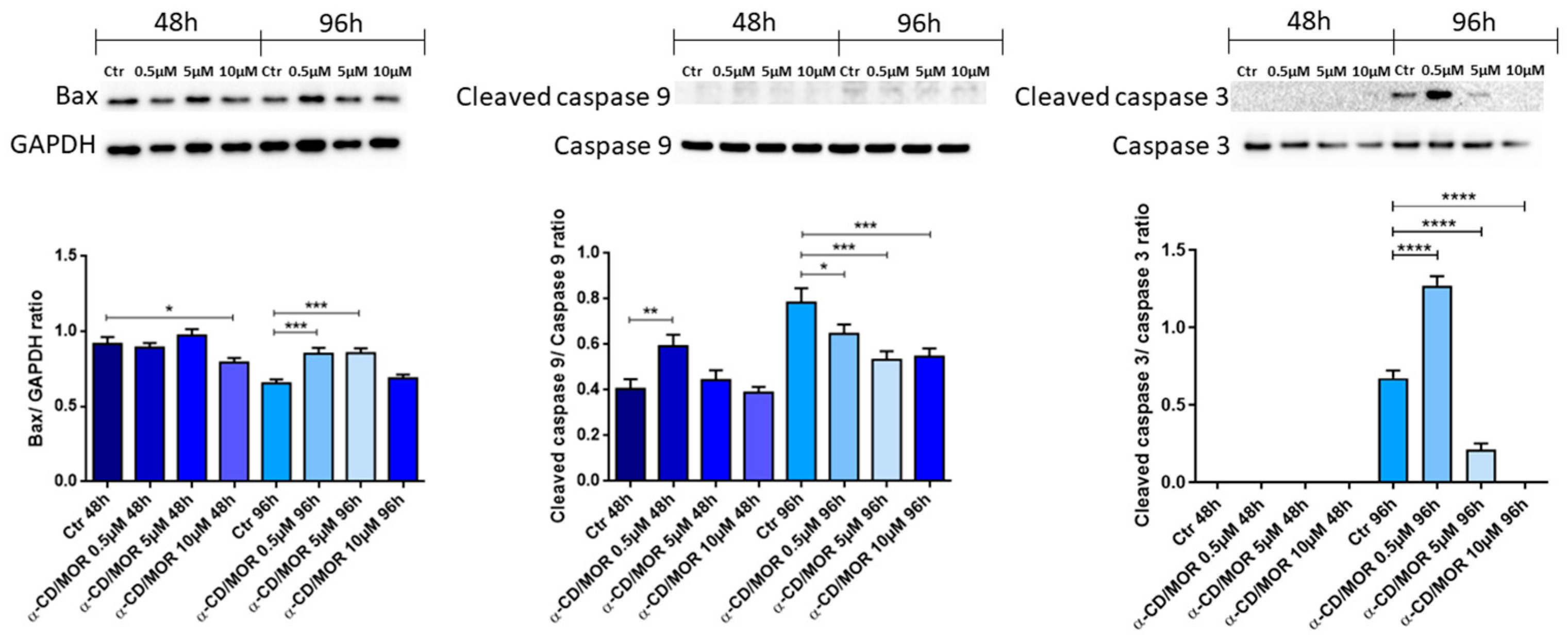 Antioxidants 13 00813 g007
