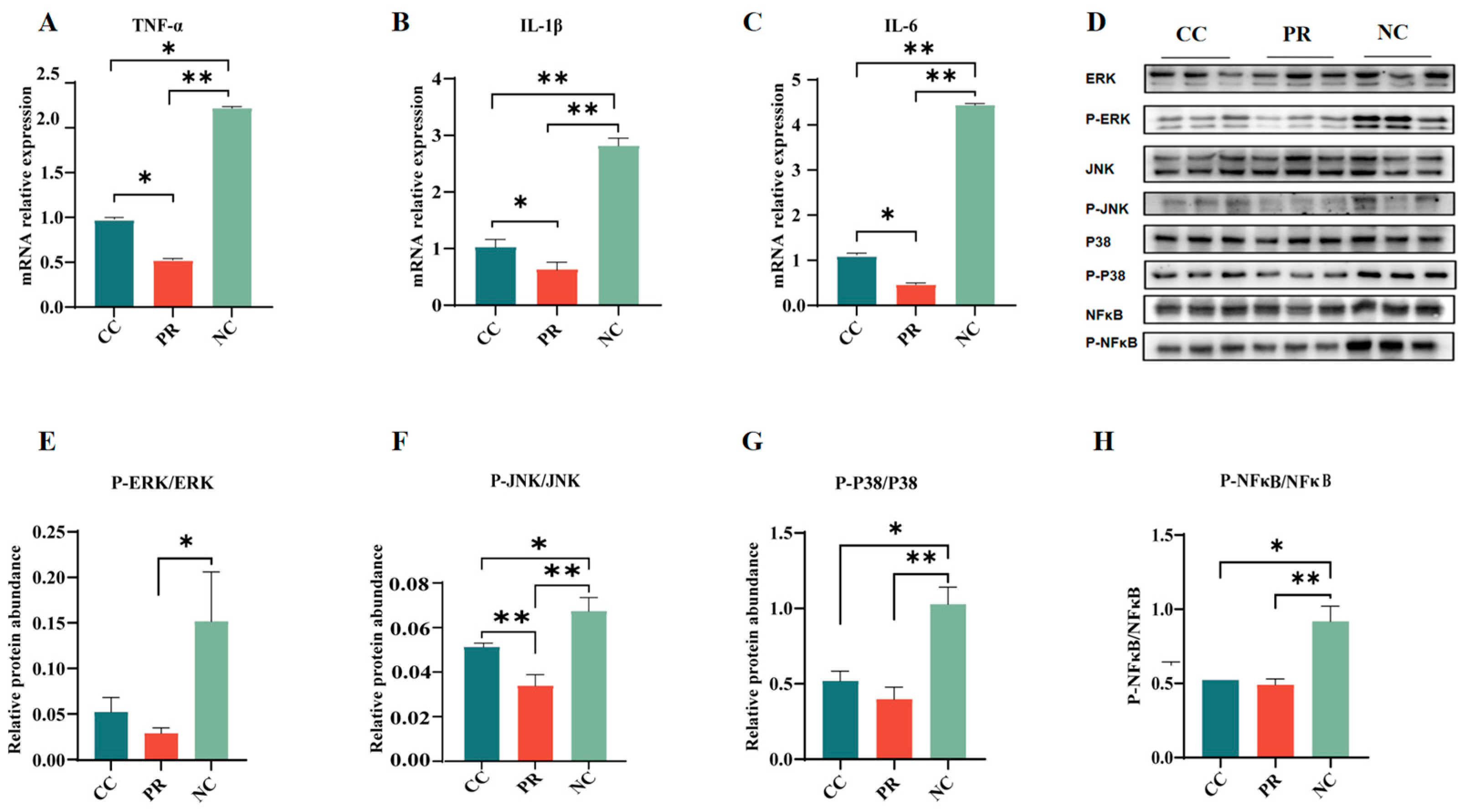 Antioxidants 13 00816 g005 Antioxidants 13 00816 g005