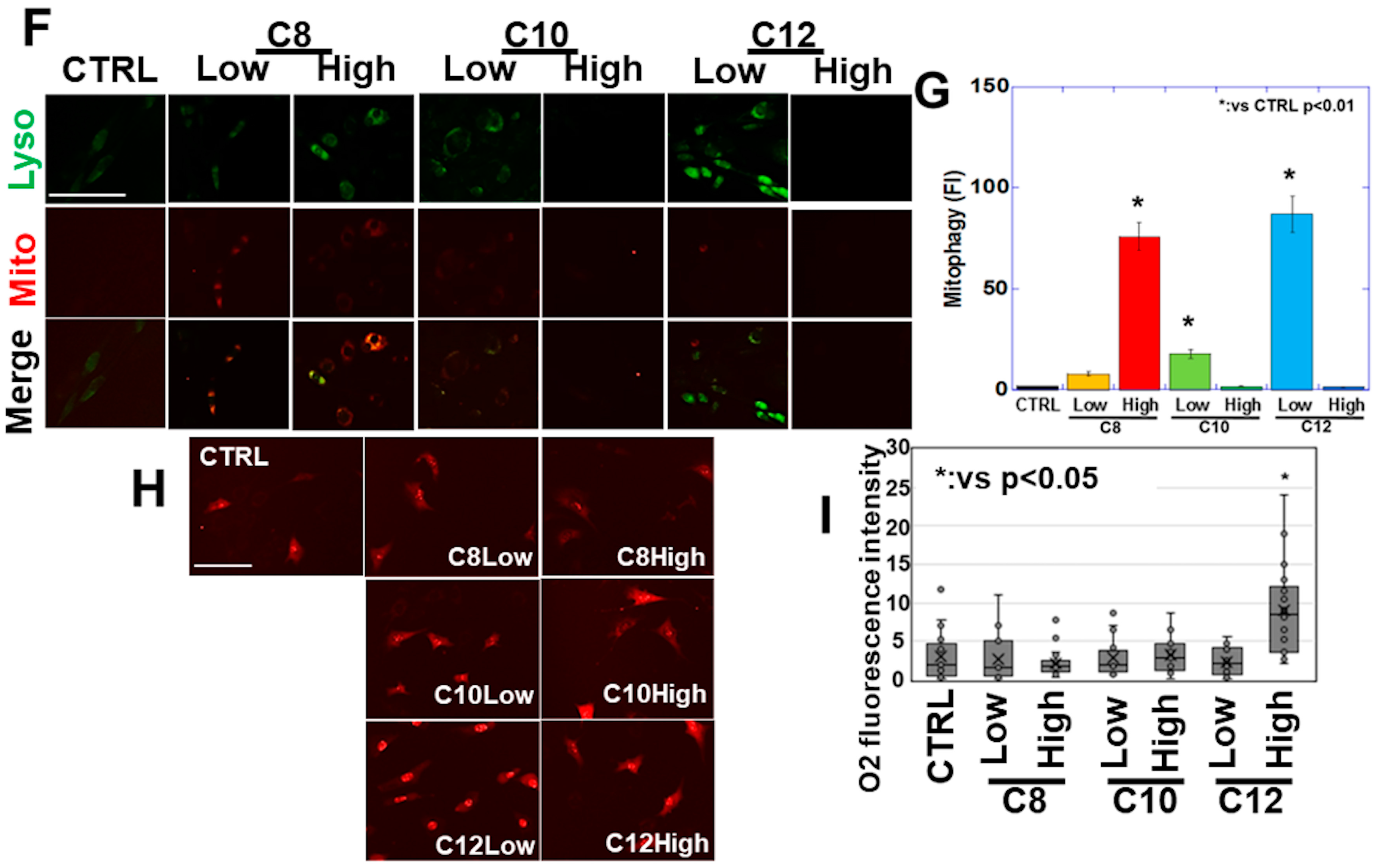Antioxidants 13 00821 g002b
