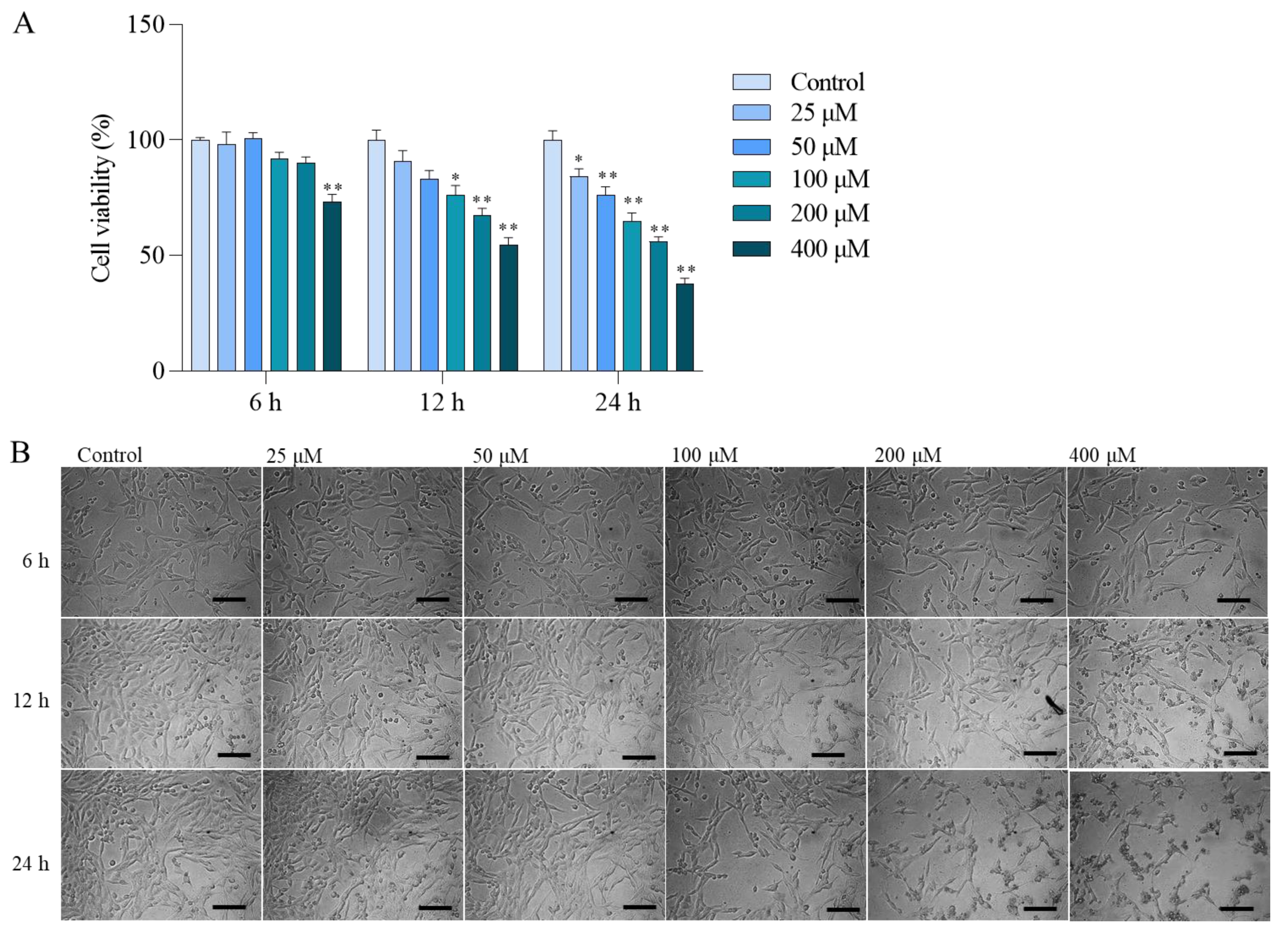 Antioxidants 13 00827 g001