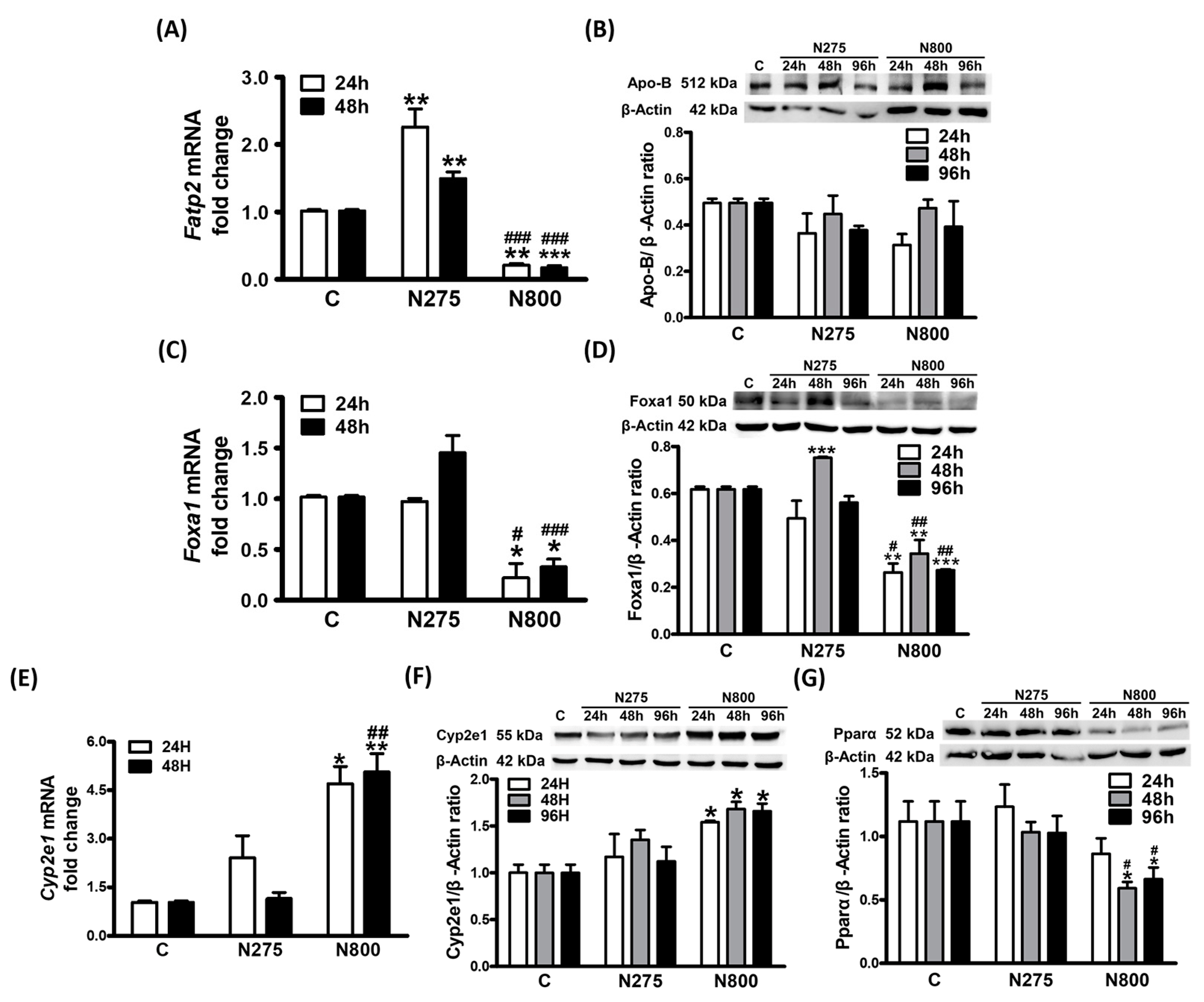 Antioxidants 13 00832 g011