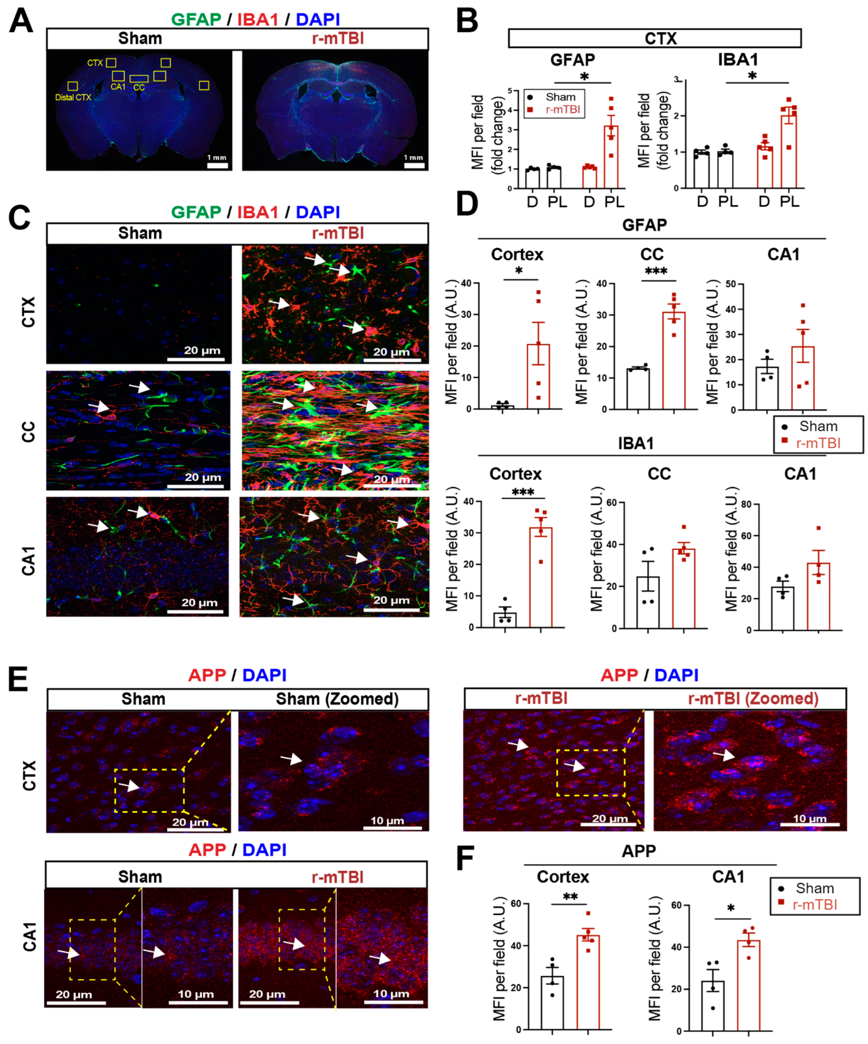 Antioxidants 13 00836 g002