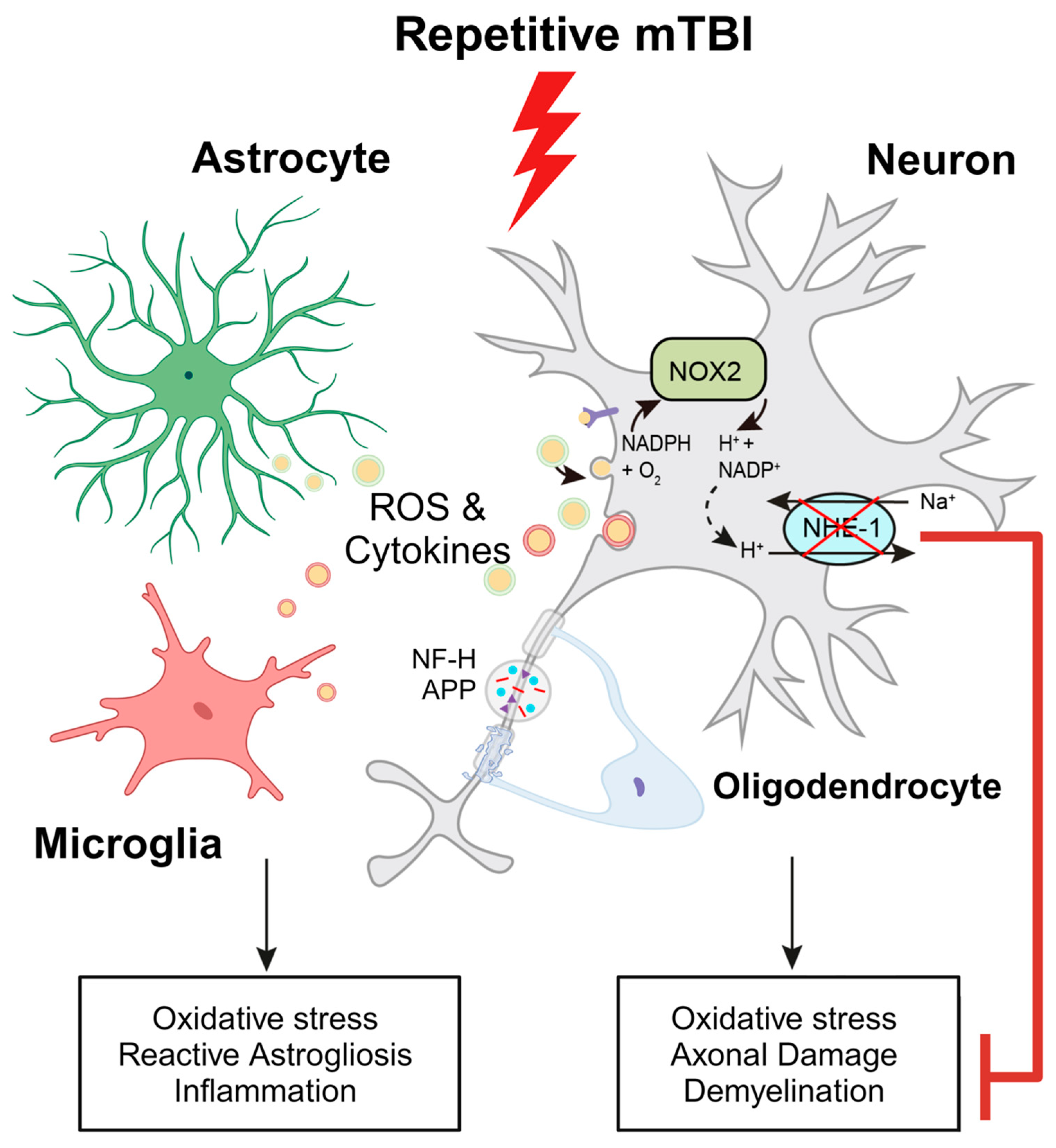 Antioxidants 13 00836 g009