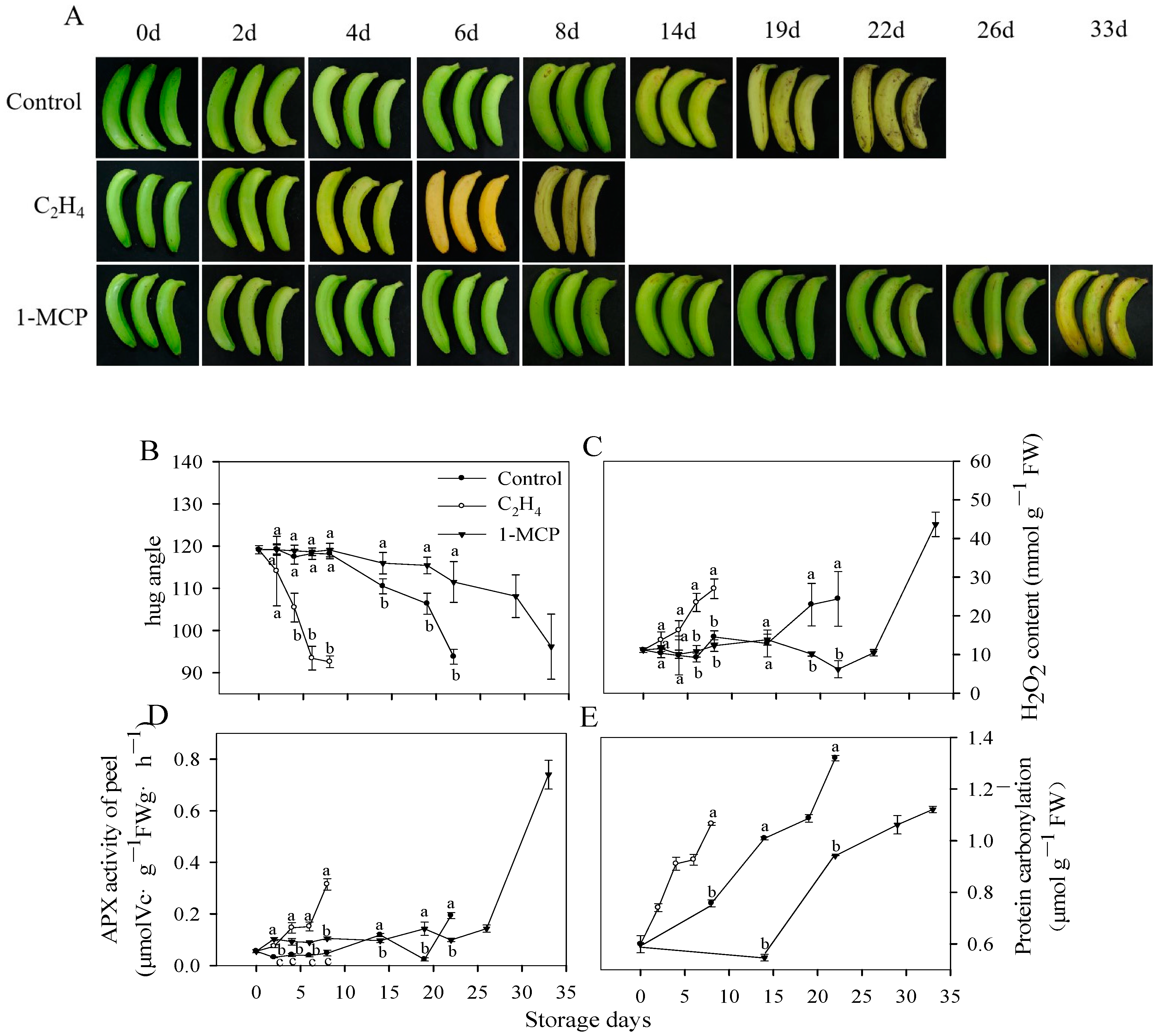 Antioxidants 13 00843 g001
