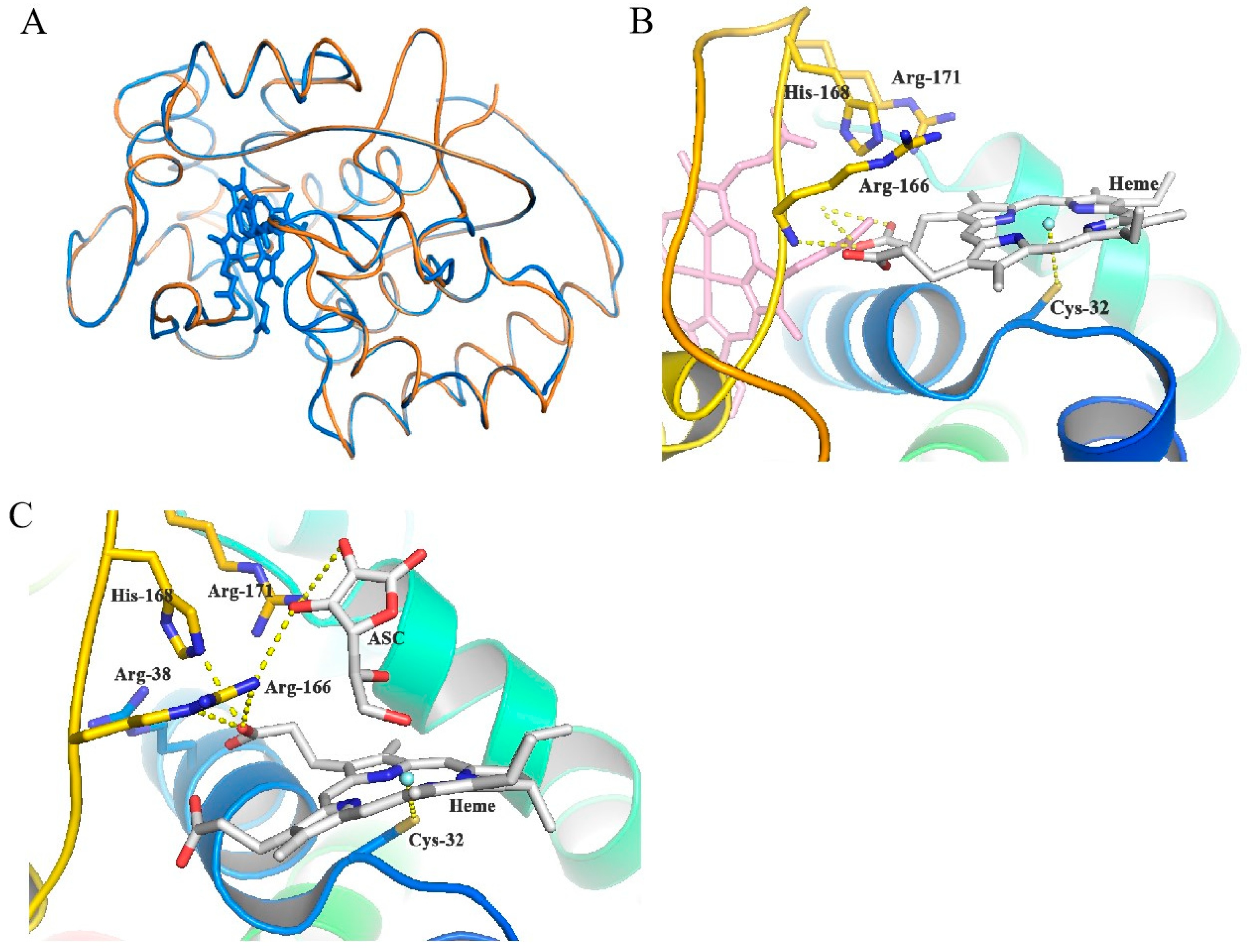 Antioxidants 13 00843 g006