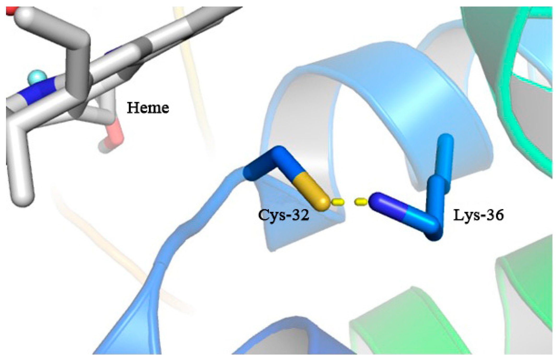 Antioxidants 13 00843 g007