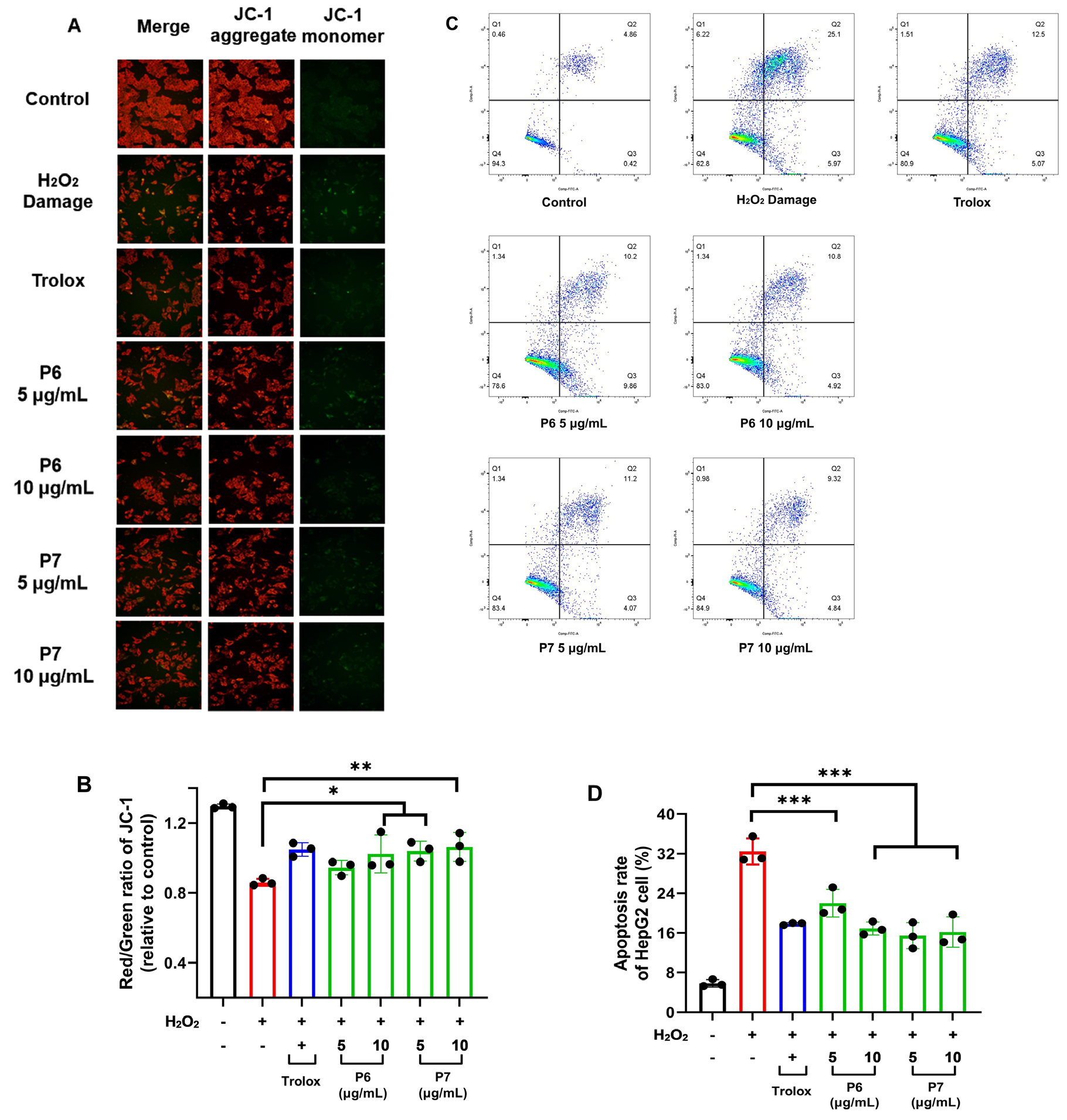 Antioxidants 13 00854 g006