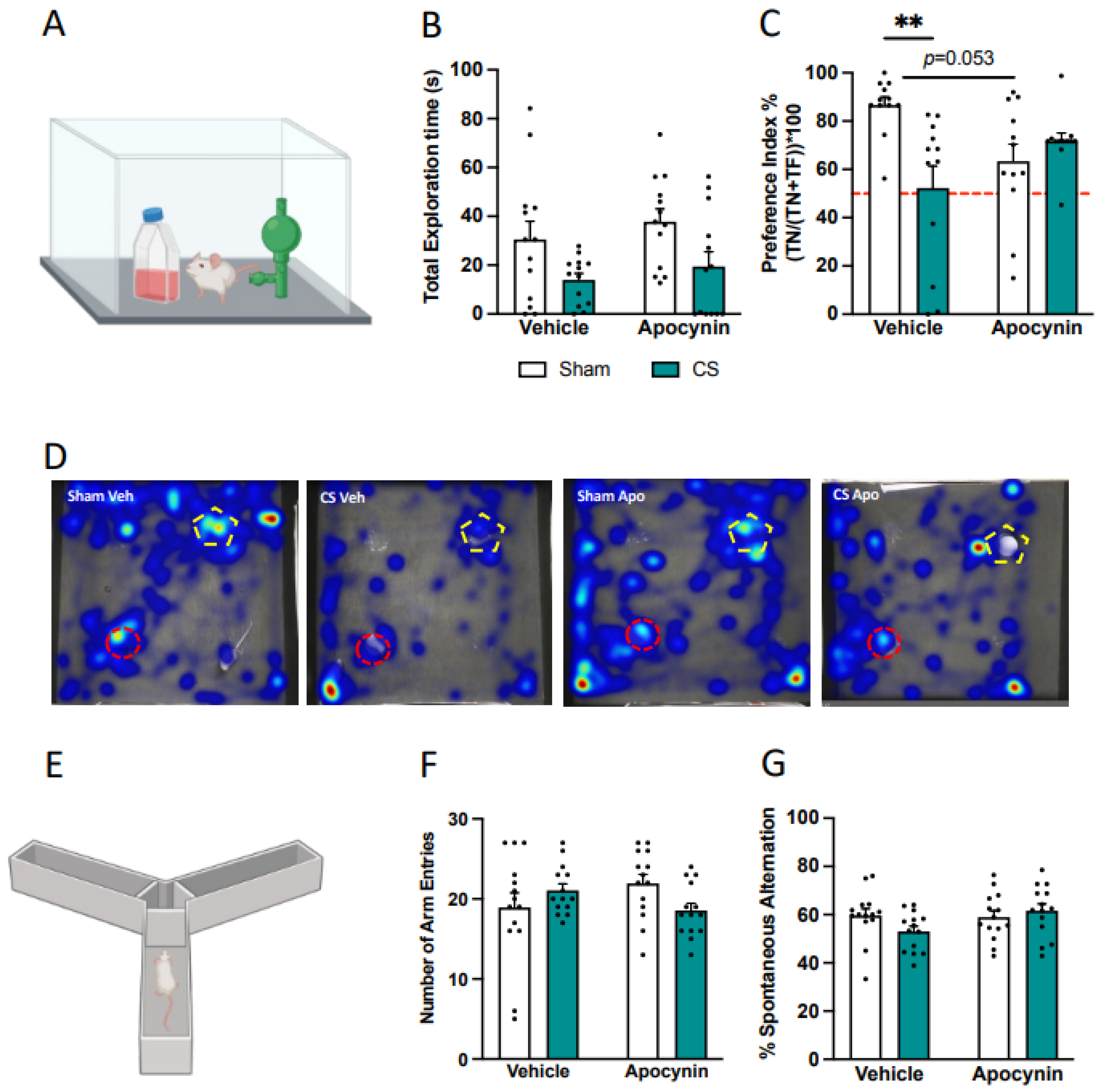 Antioxidants 13 00855 g005