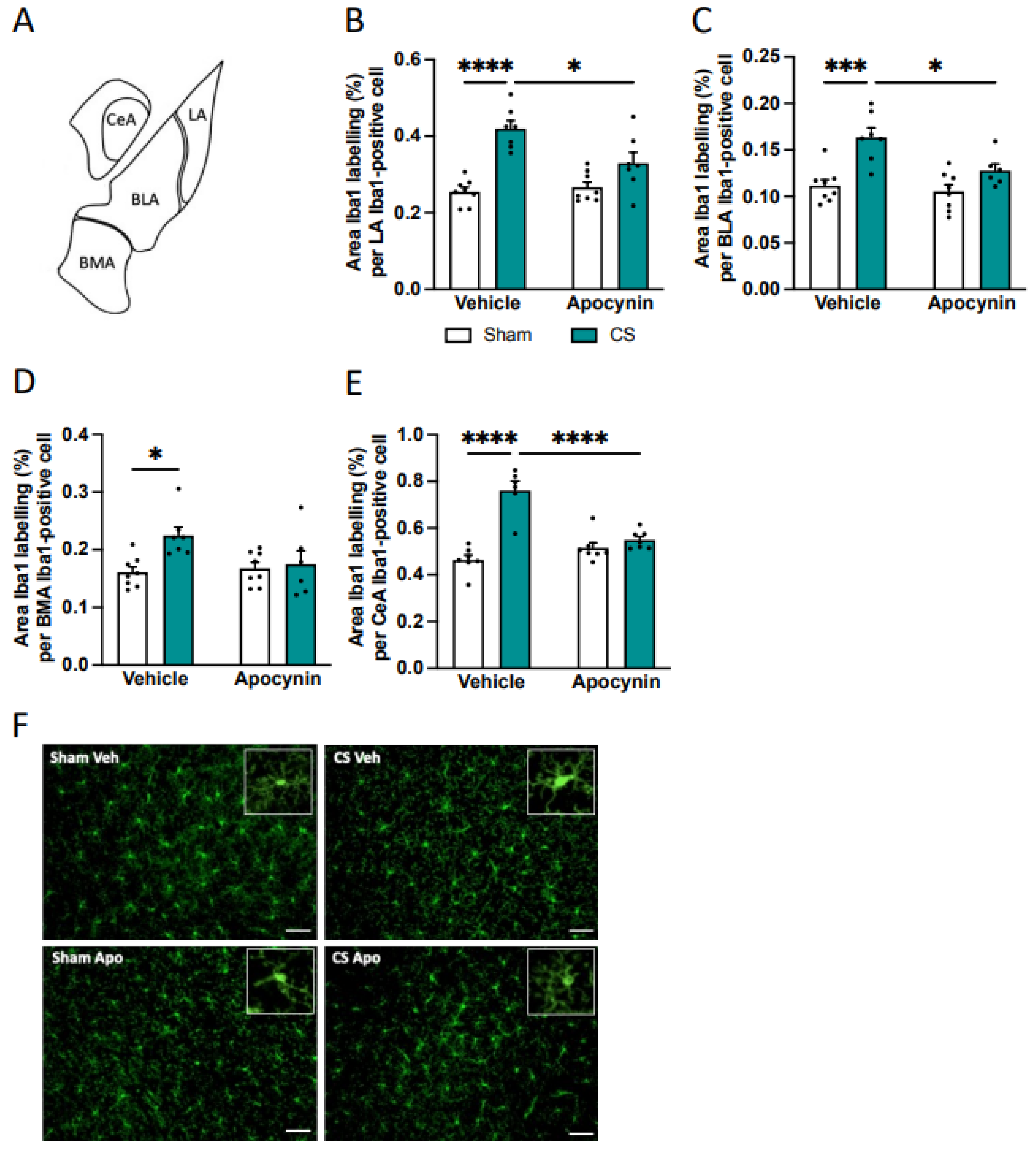Antioxidants 13 00855 g007