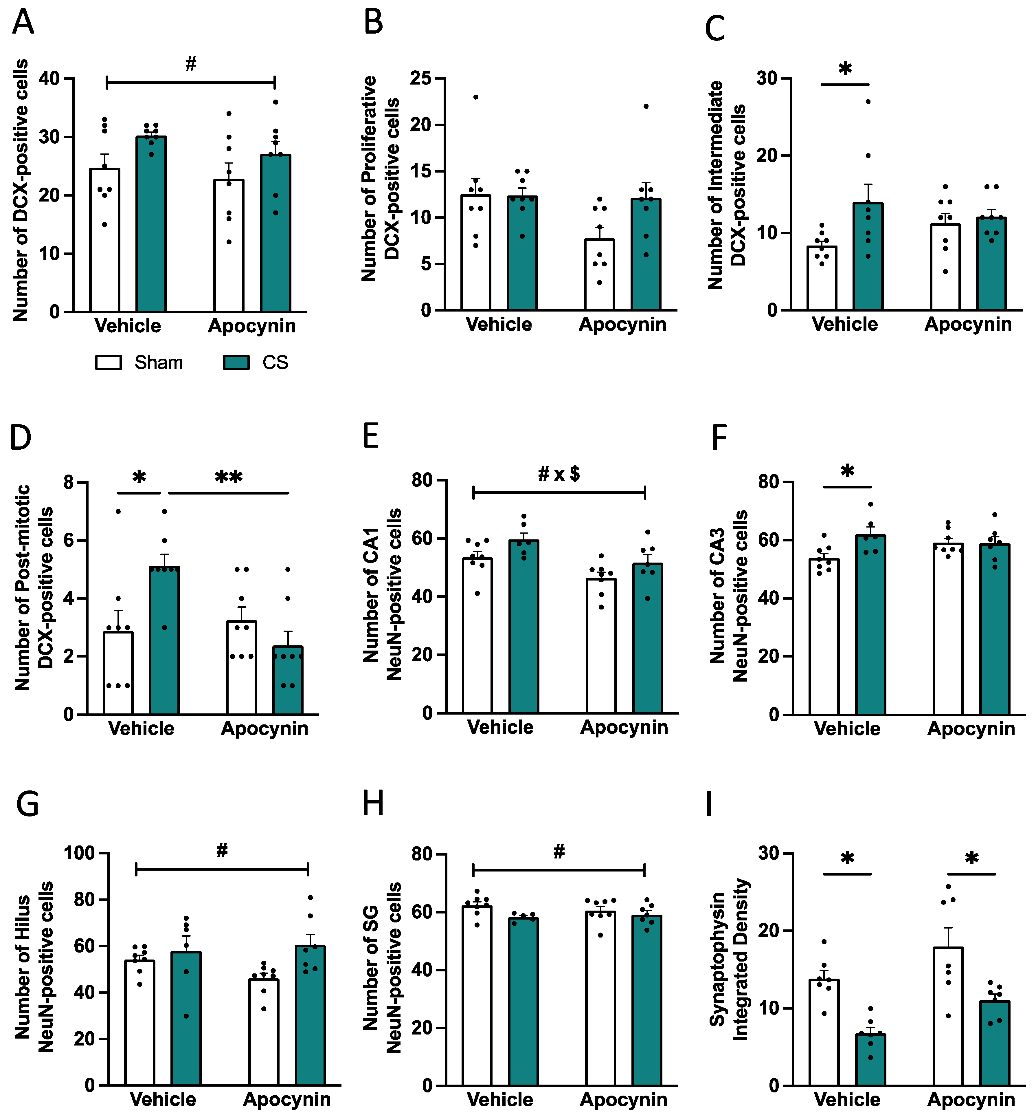 Antioxidants 13 00855 g009