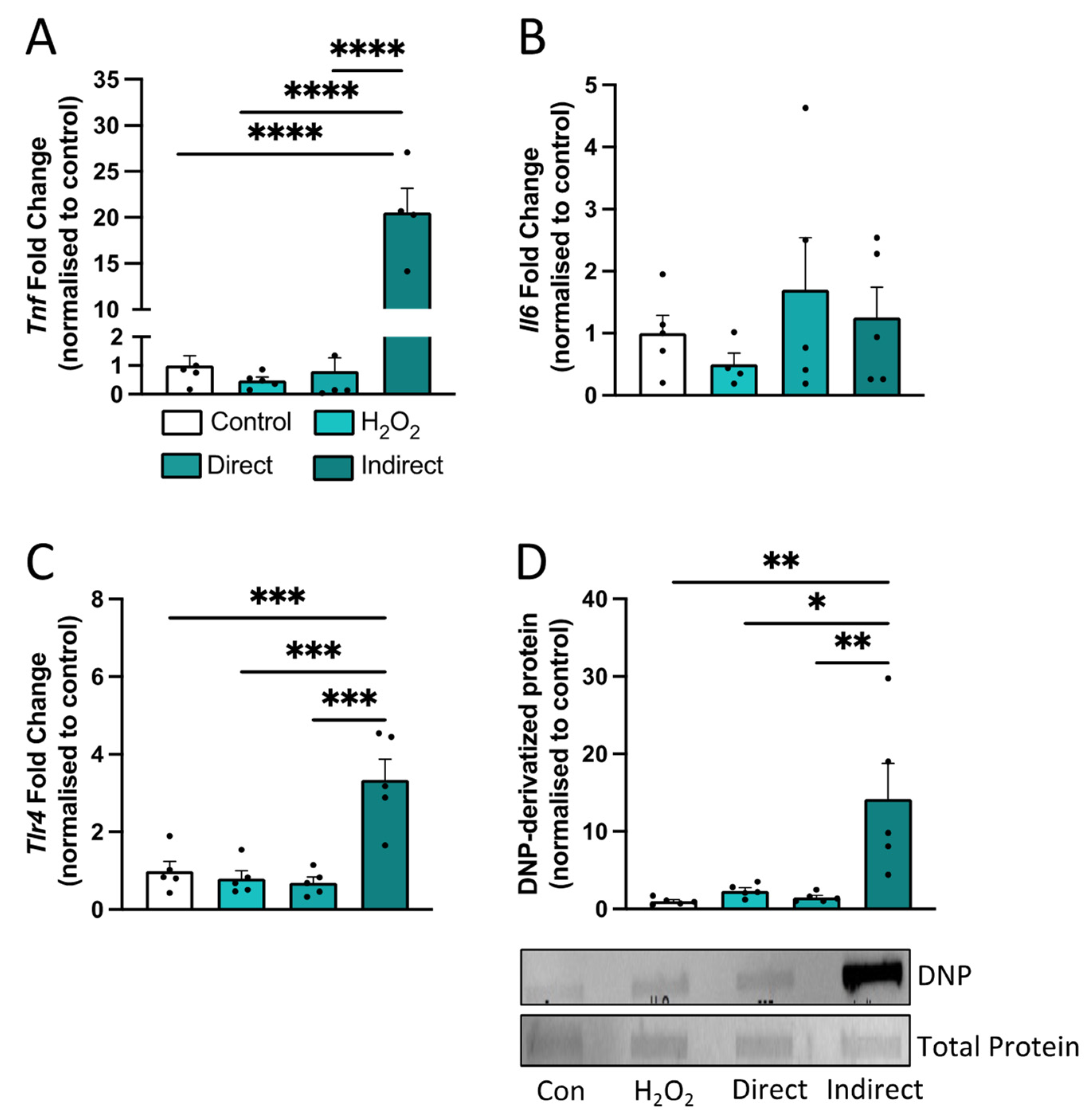 Antioxidants 13 00855 g010