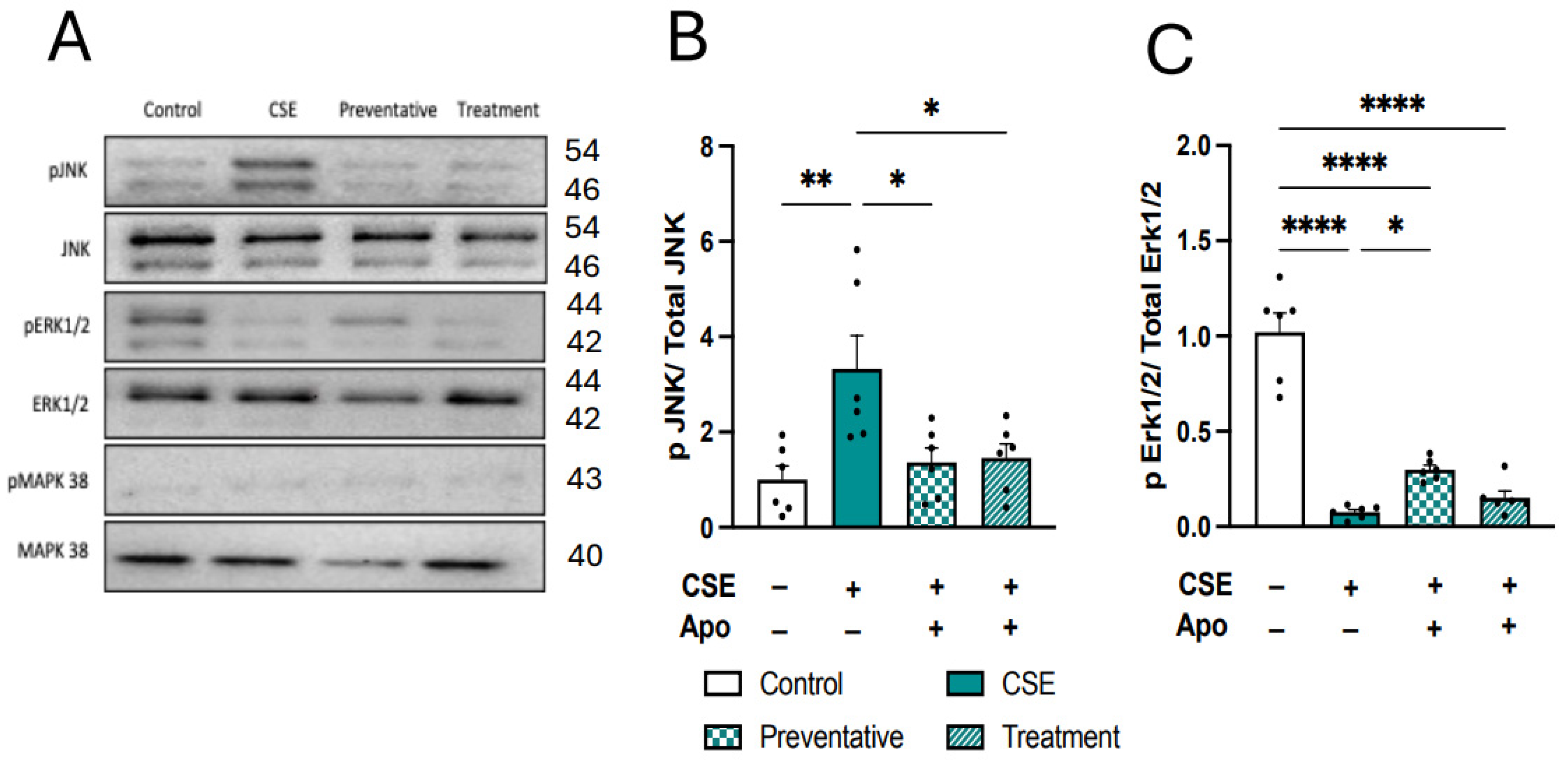 Antioxidants 13 00855 g012