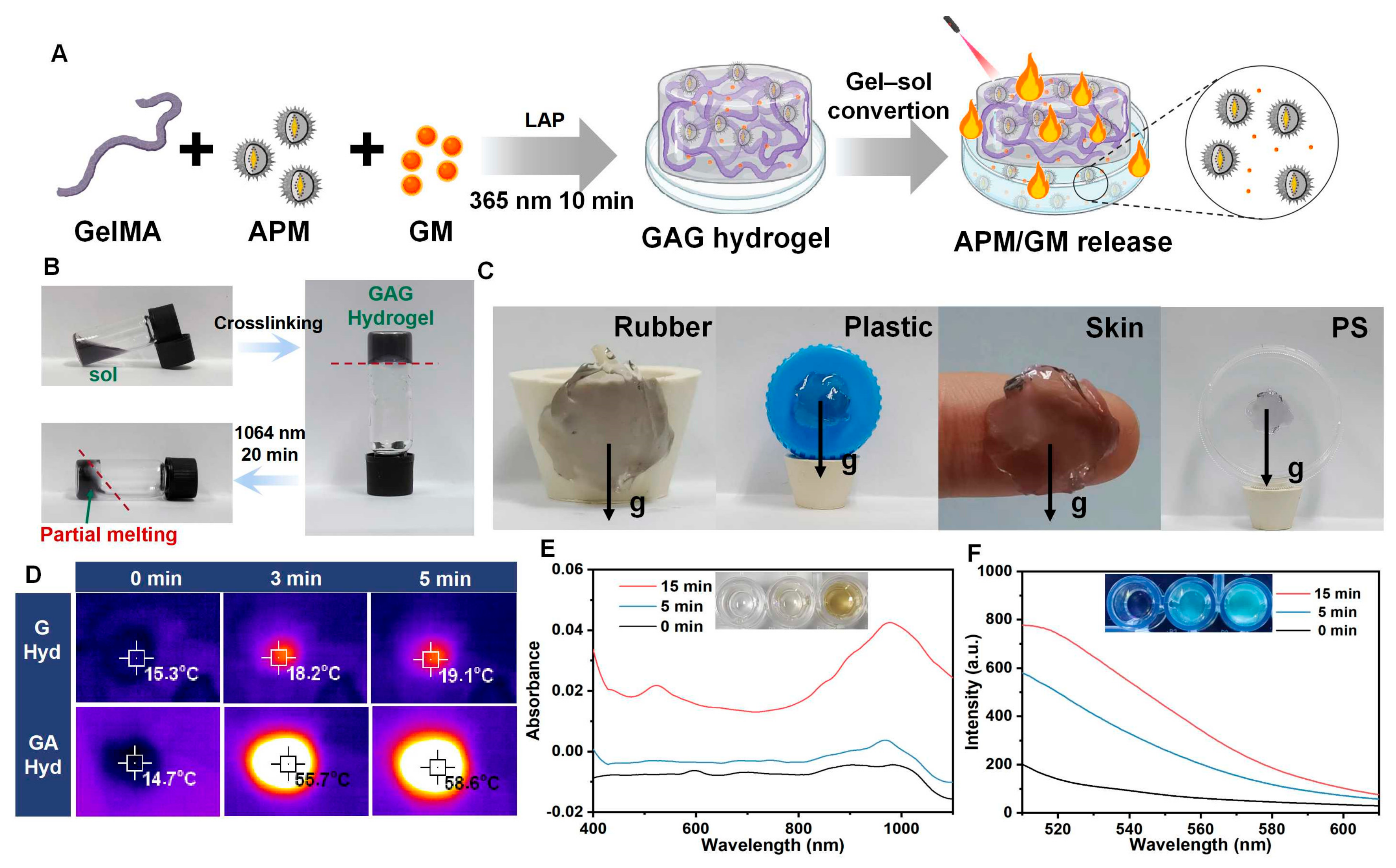 Antioxidants 13 00857 g003