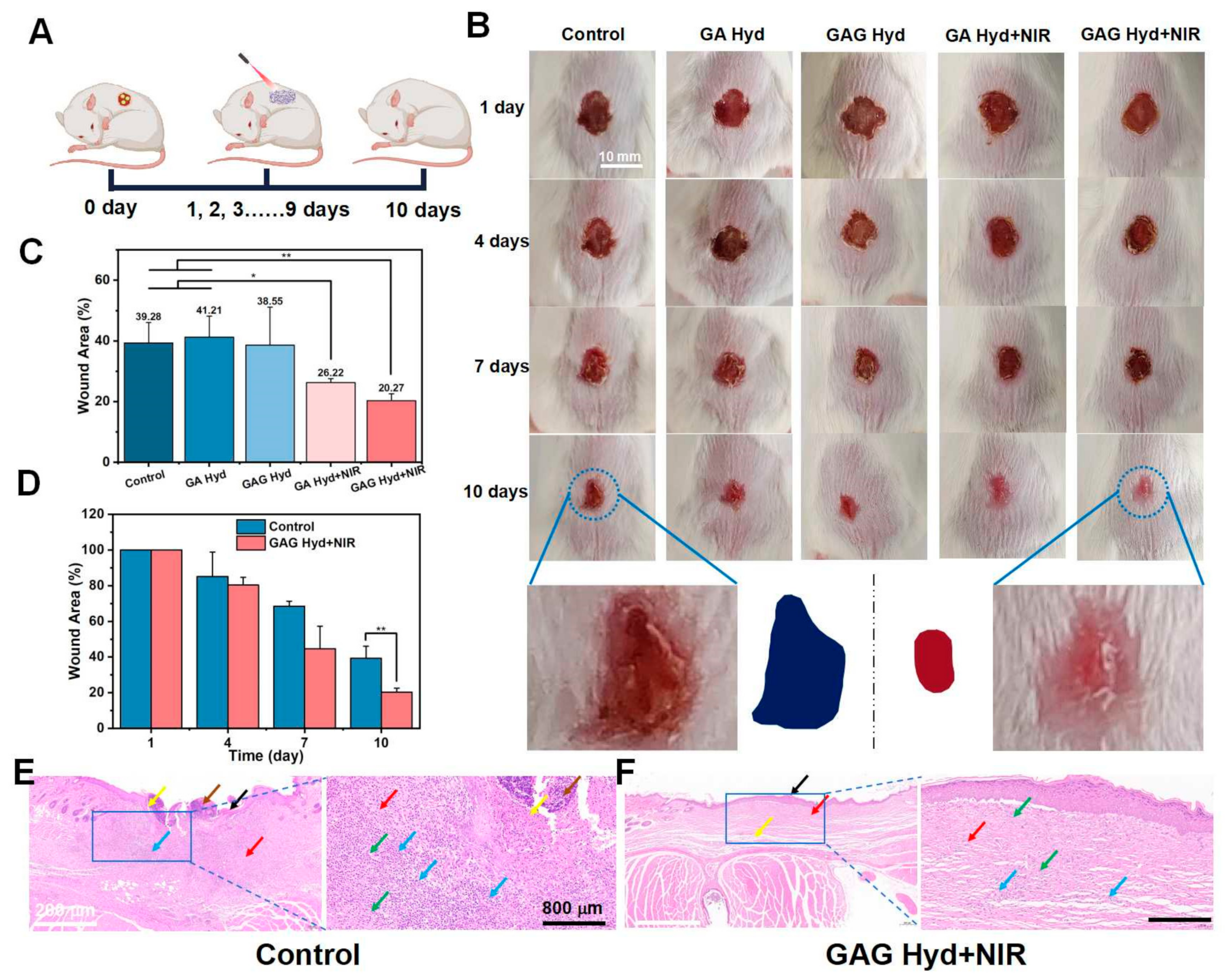 Antioxidants 13 00857 g005