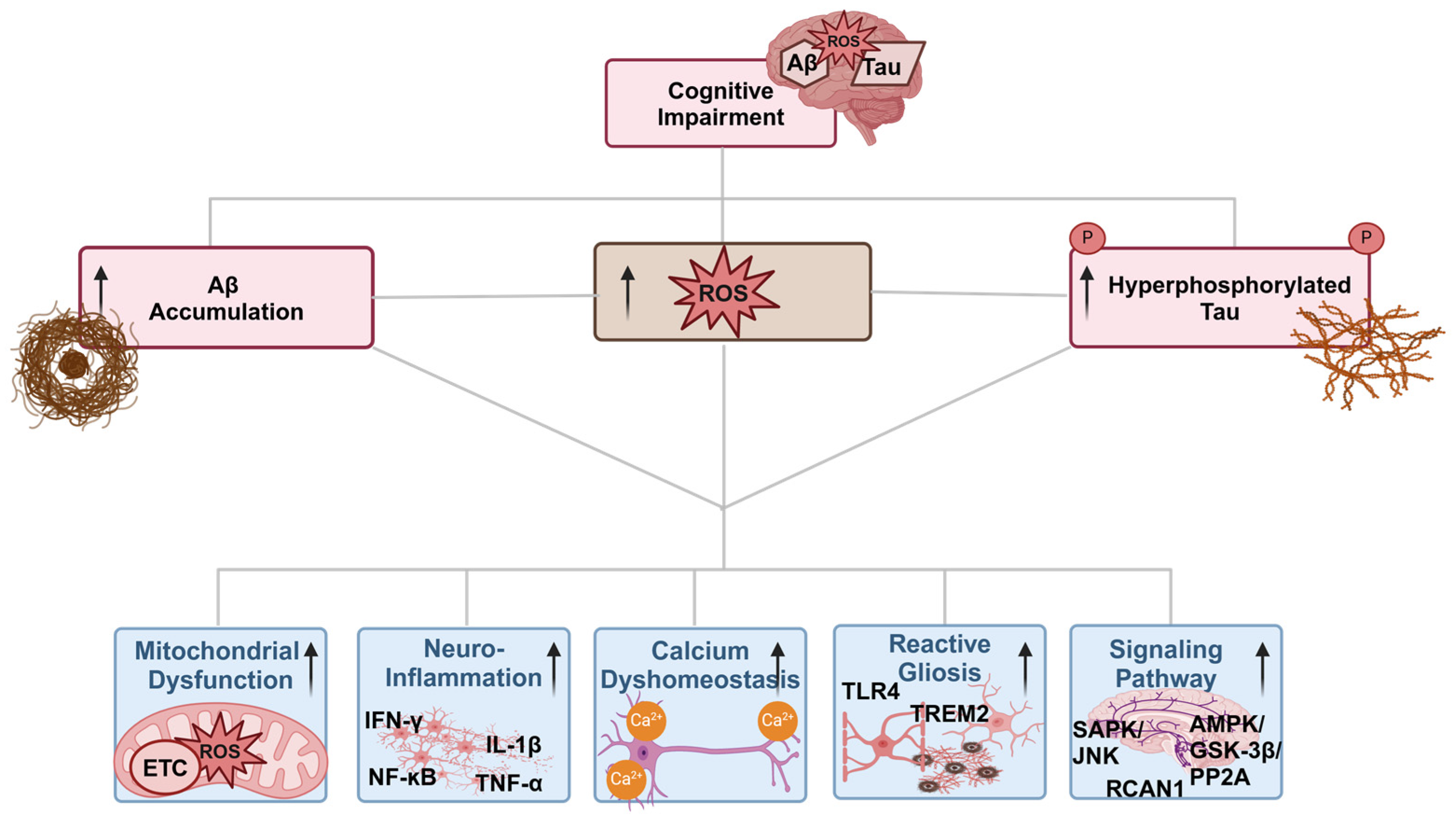 Antioxidants 13 00862 g002