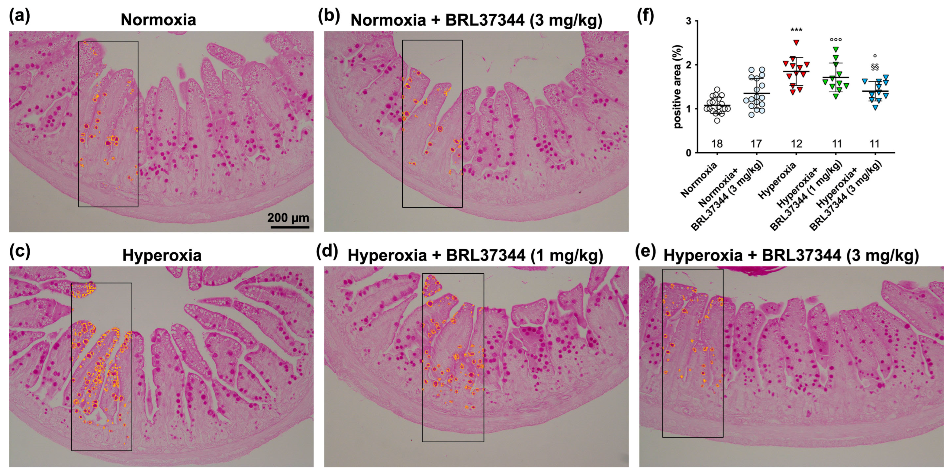 Antioxidants 13 00863 g004