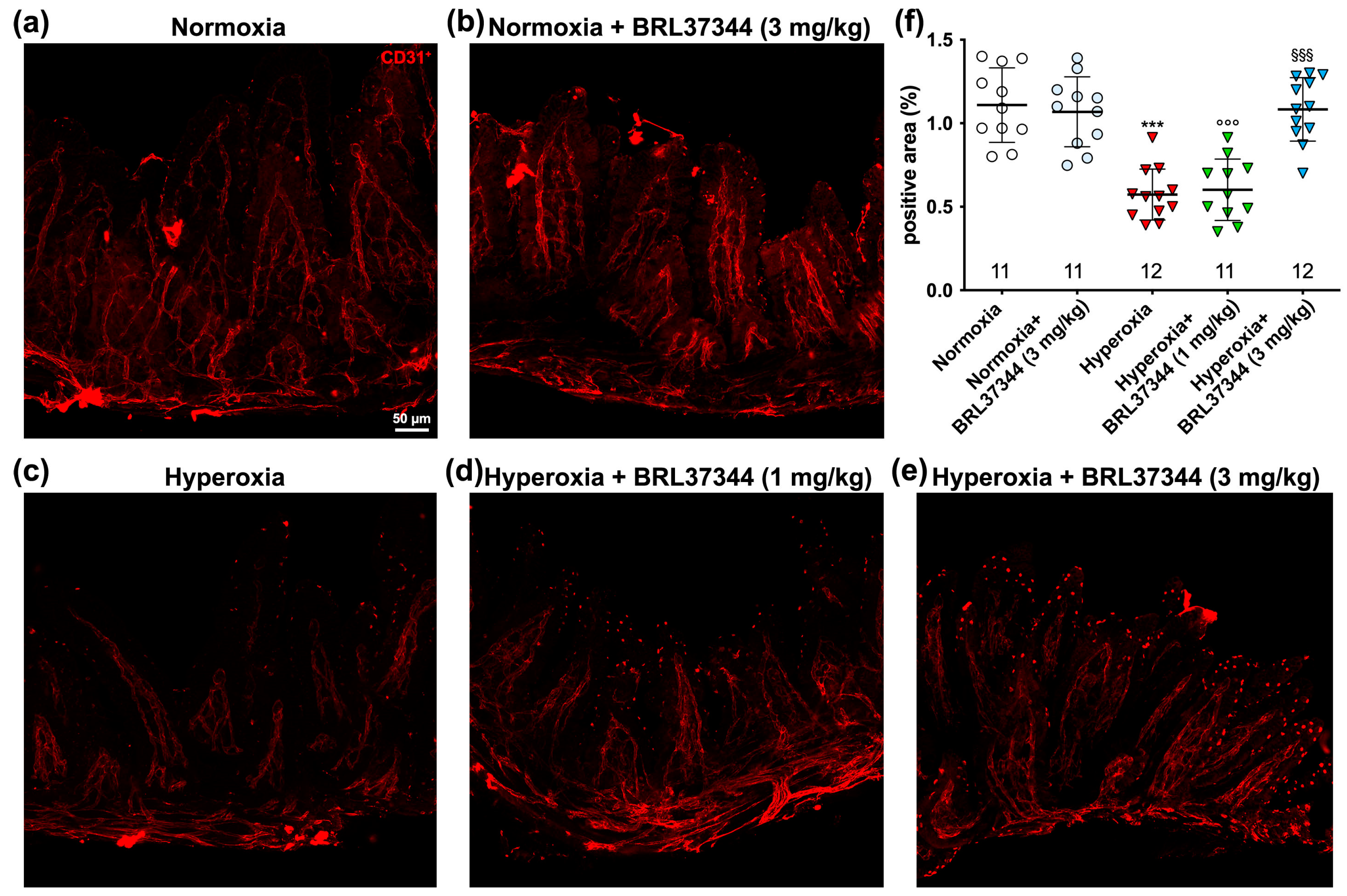 Antioxidants 13 00863 g009