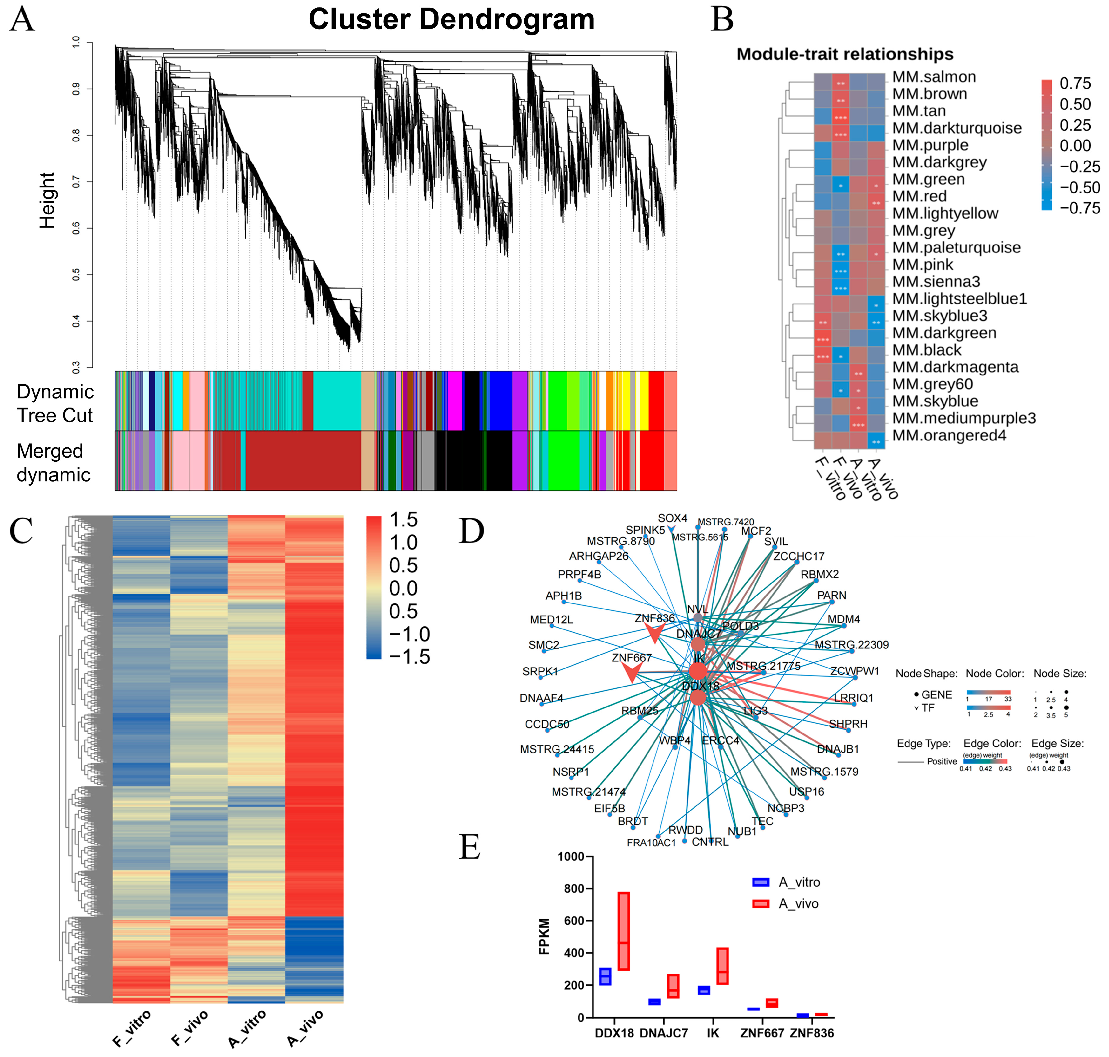 Antioxidants 13 00867 g005