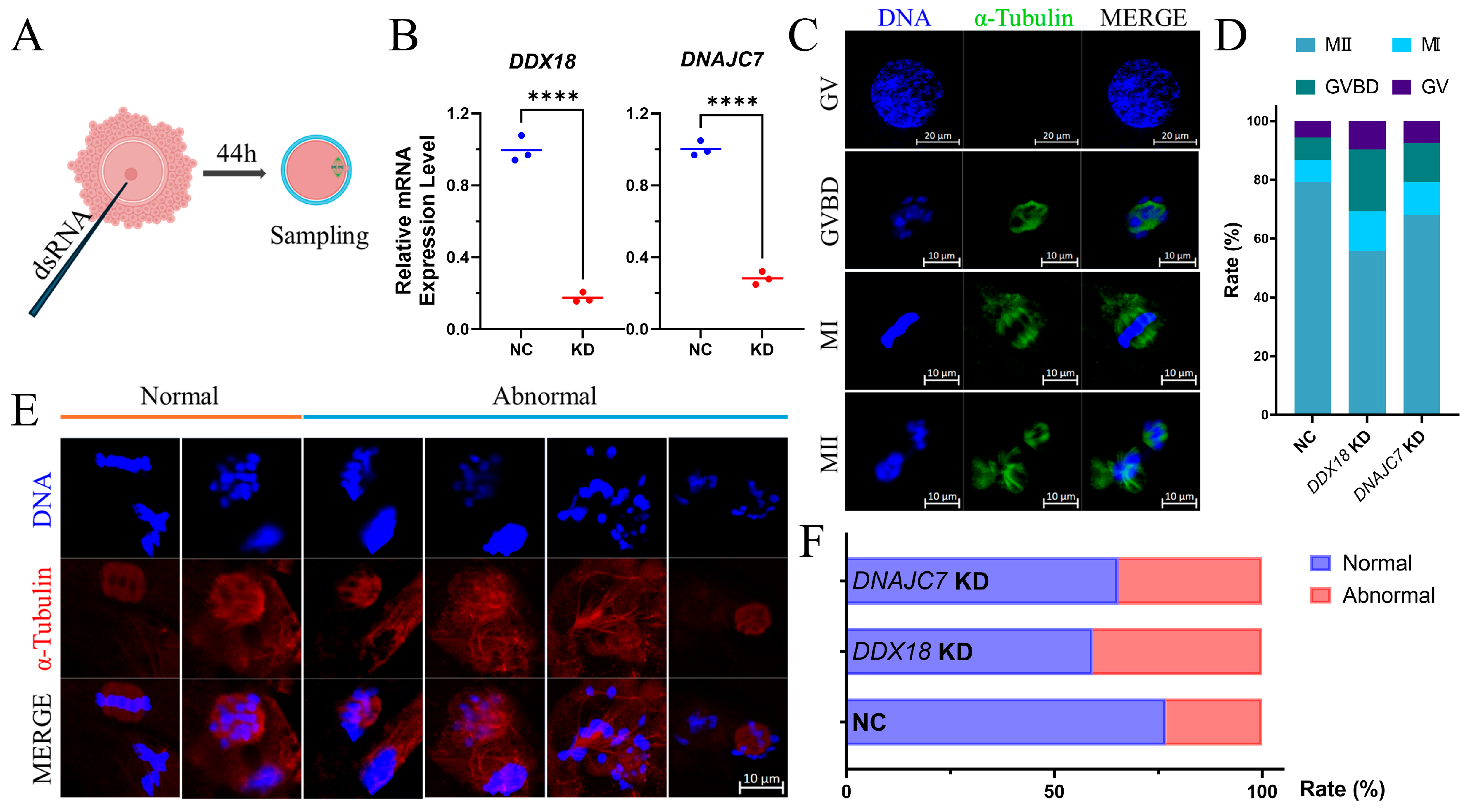 Antioxidants 13 00867 g006