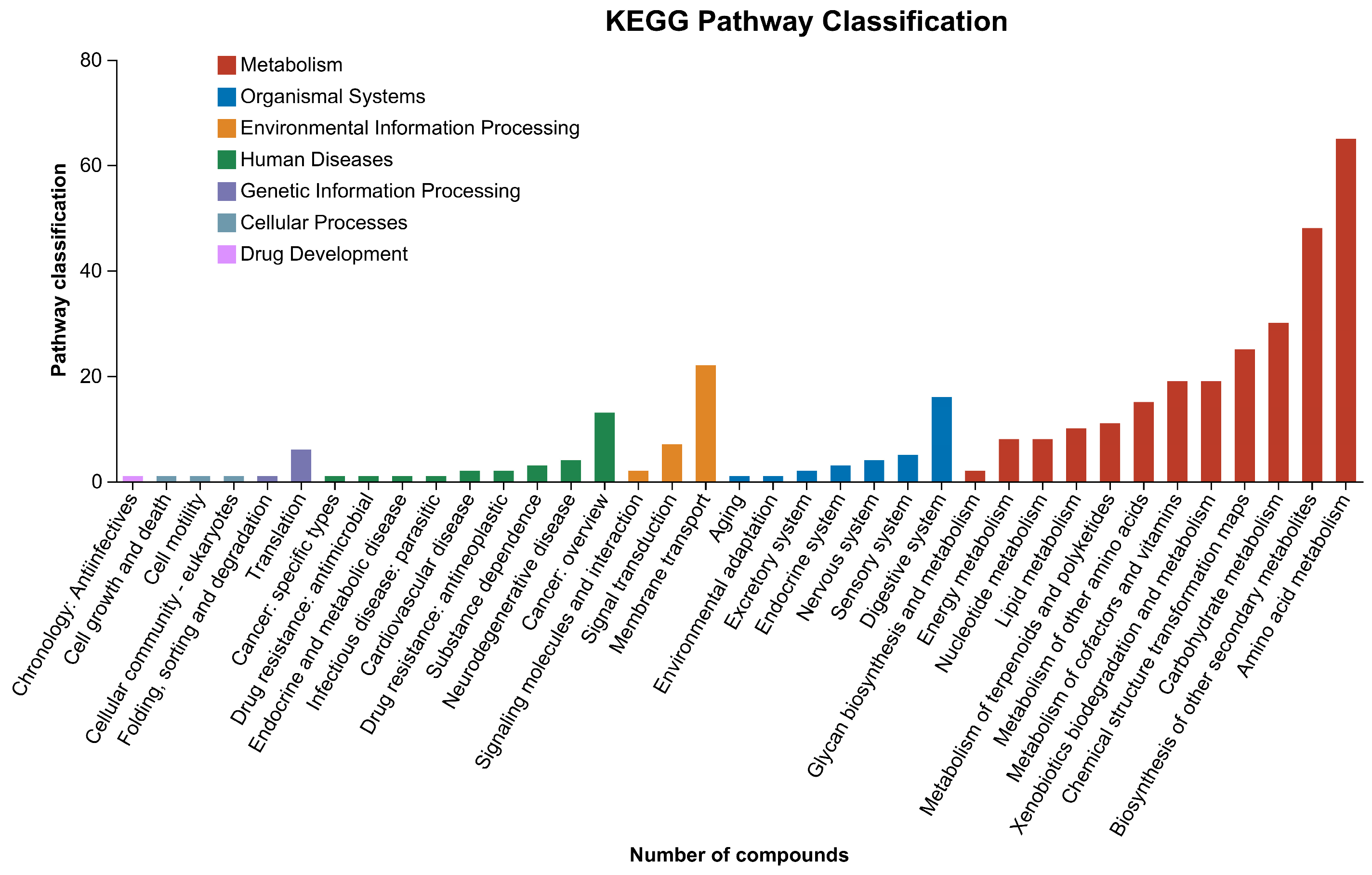 Antioxidants 13 00872 g005