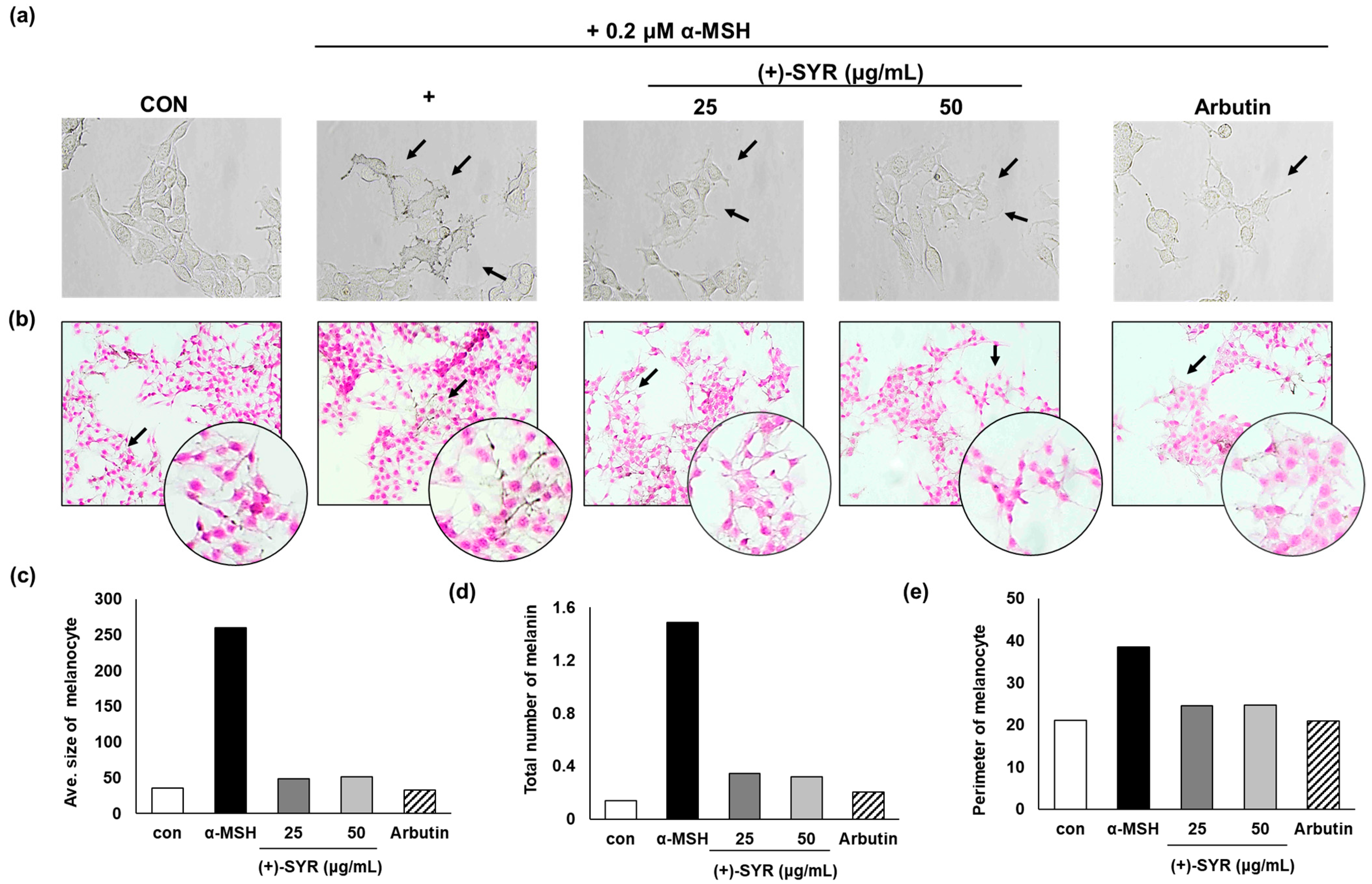 Antioxidants 13 00876 g002