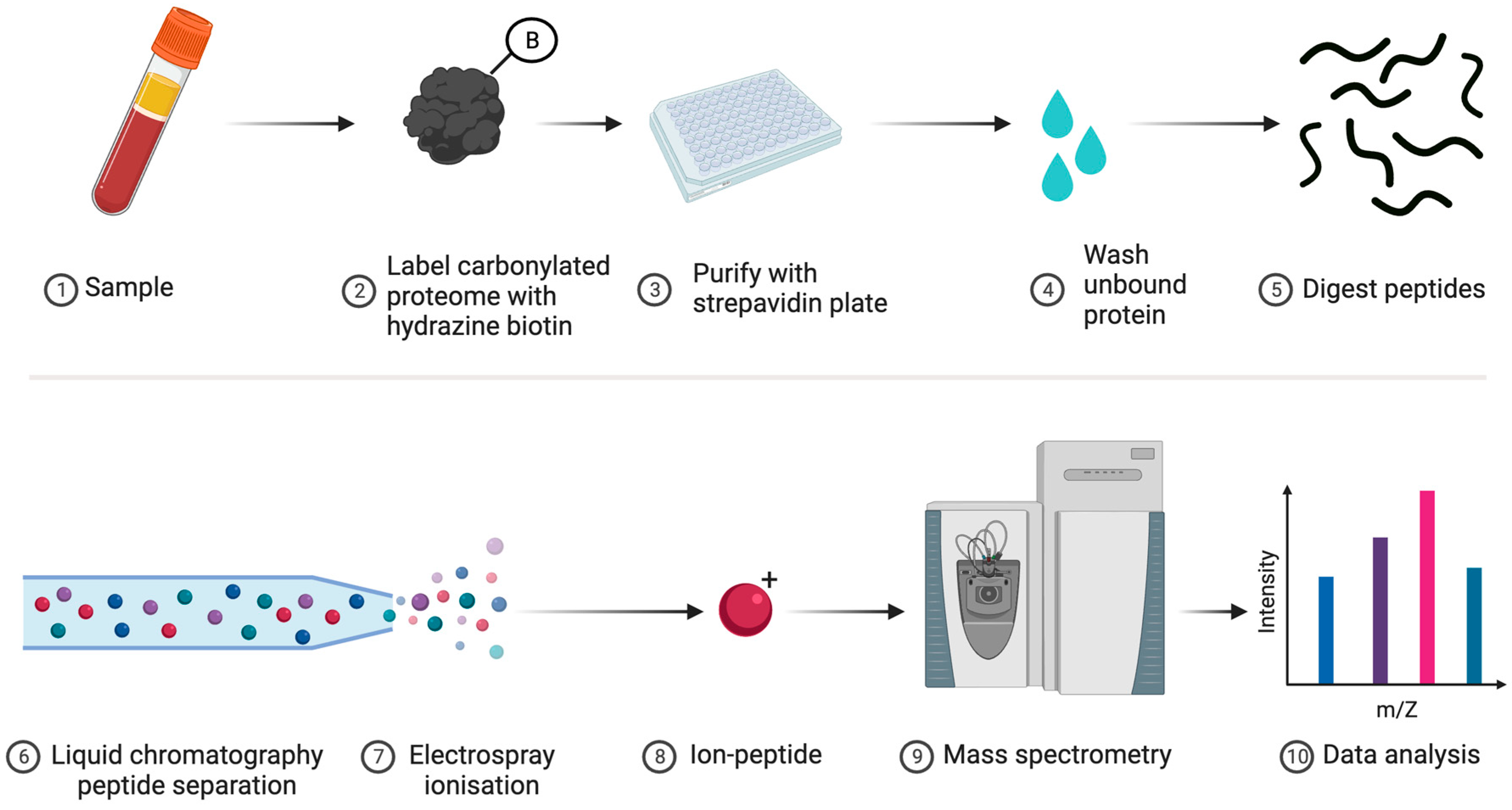 Antioxidants 13 00877 g006