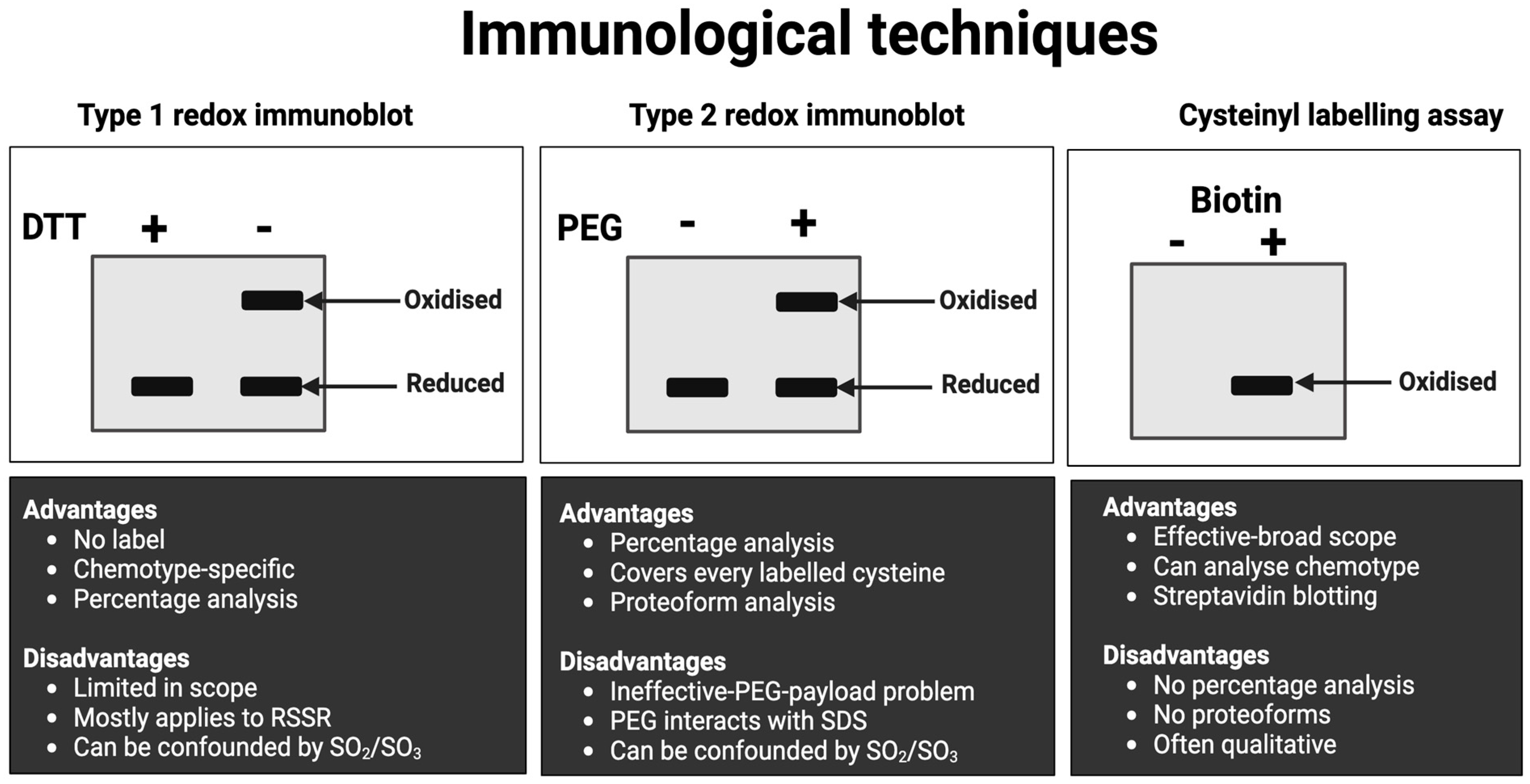 Antioxidants 13 00877 g008