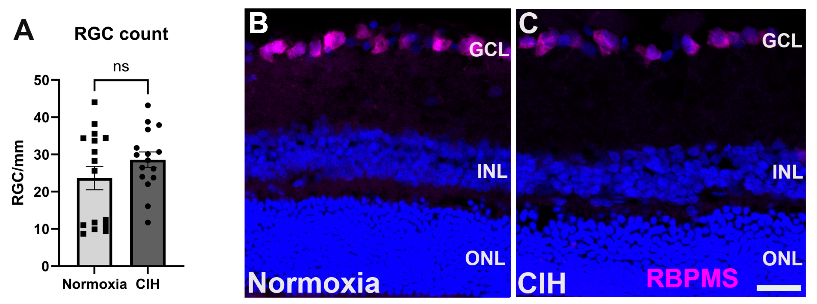 Antioxidants 13 00878 g006