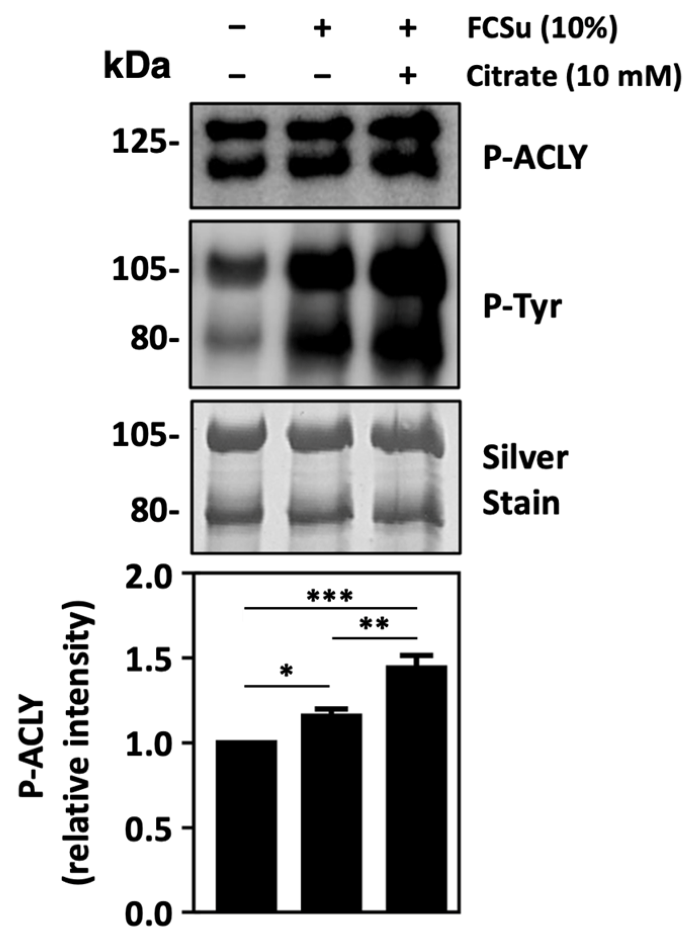 Antioxidants 13 00885 g005
