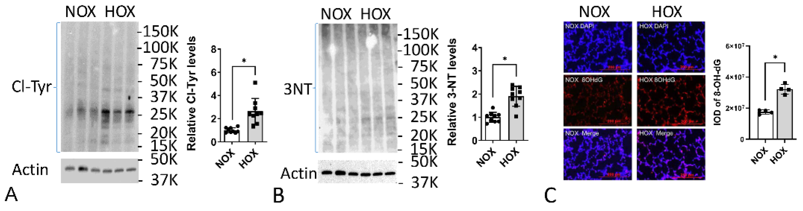 Antioxidants 13 00889 g006 Antioxidants 13 00889 g006