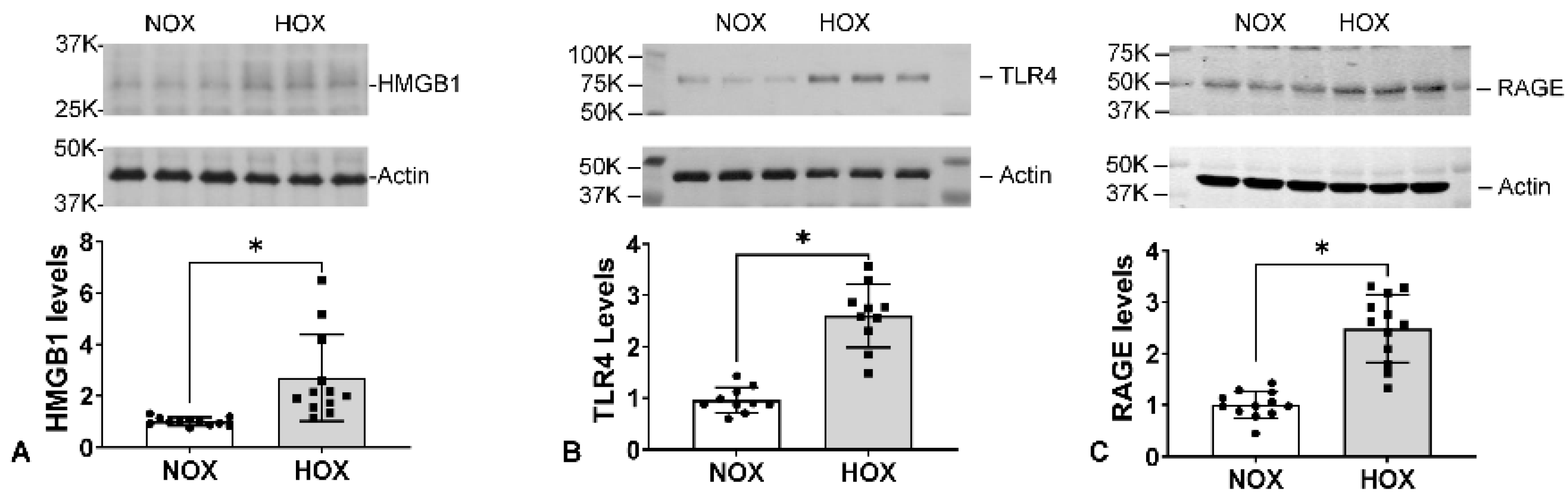 Antioxidants 13 00889 g009 Antioxidants 13 00889 g009