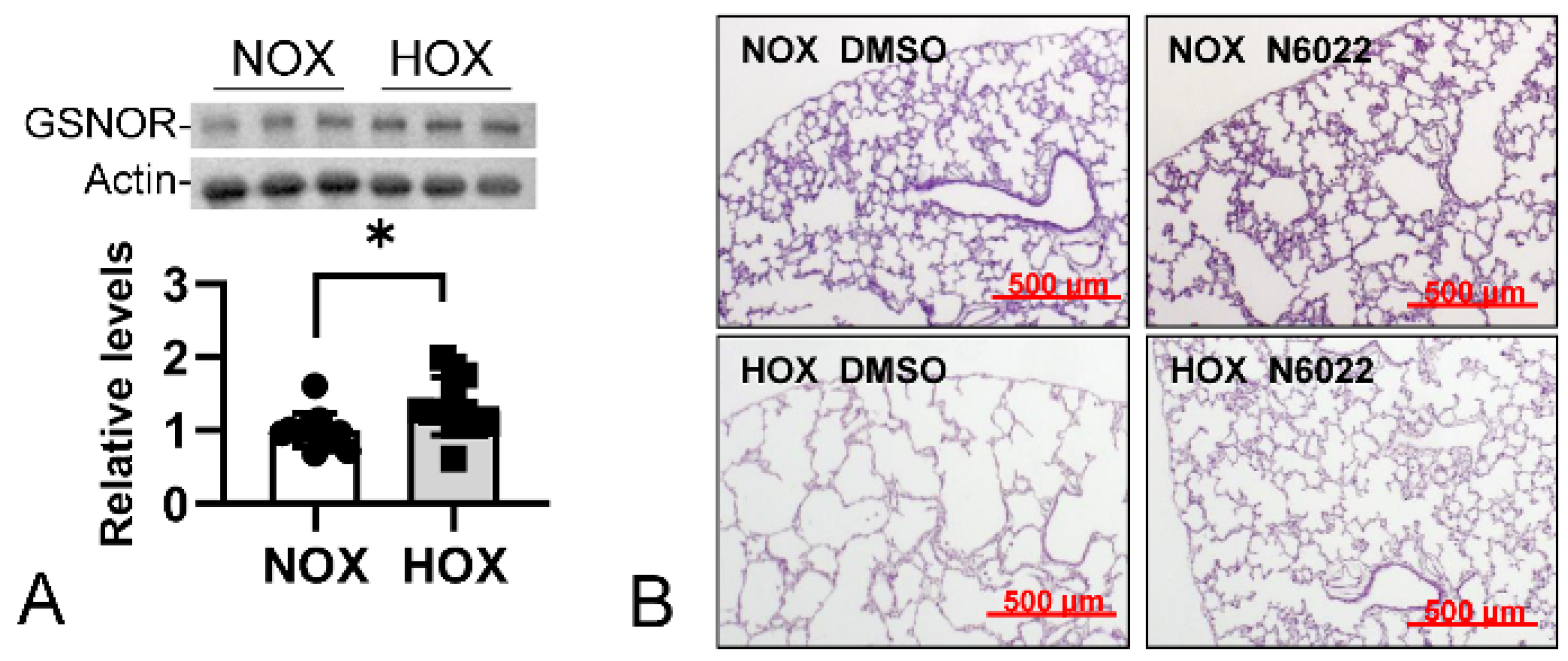 Antioxidants 13 00889 g010 Antioxidants 13 00889 g010
