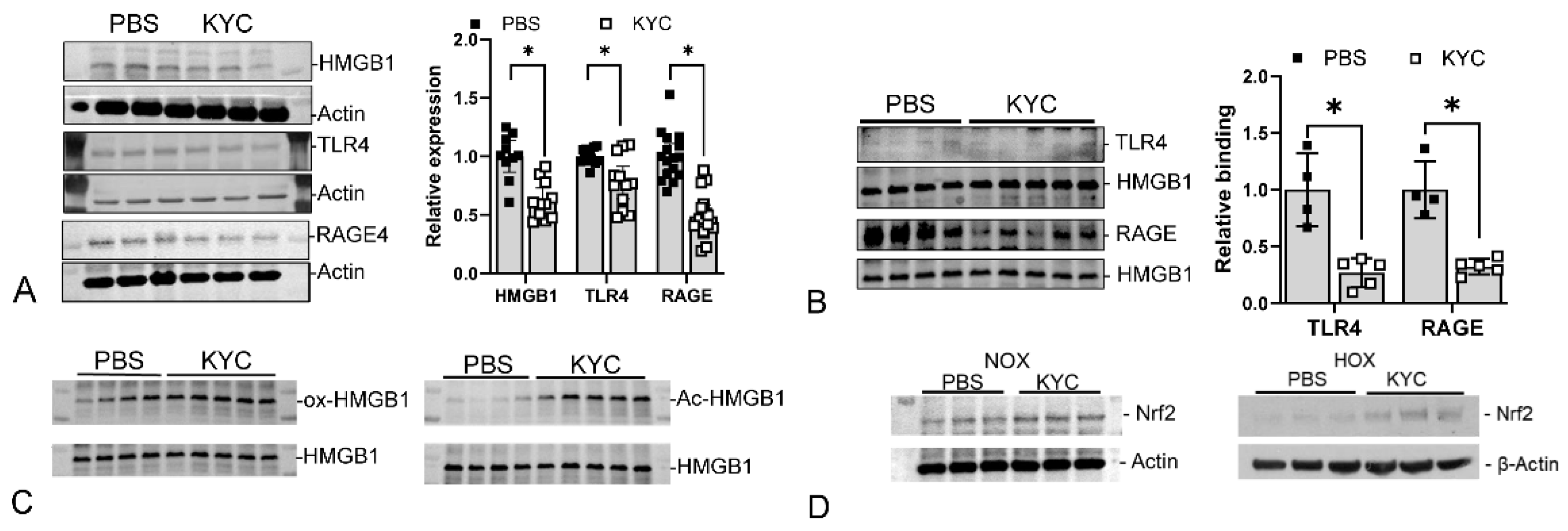 Antioxidants 13 00889 g014 Antioxidants 13 00889 g014