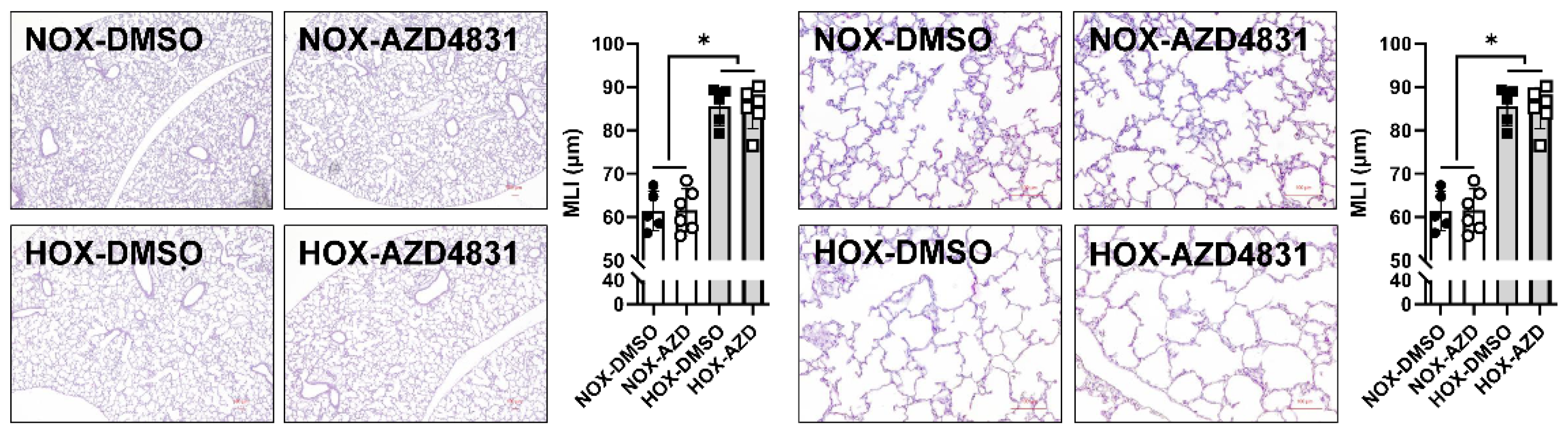 Antioxidants 13 00889 g015 Antioxidants 13 00889 g015
