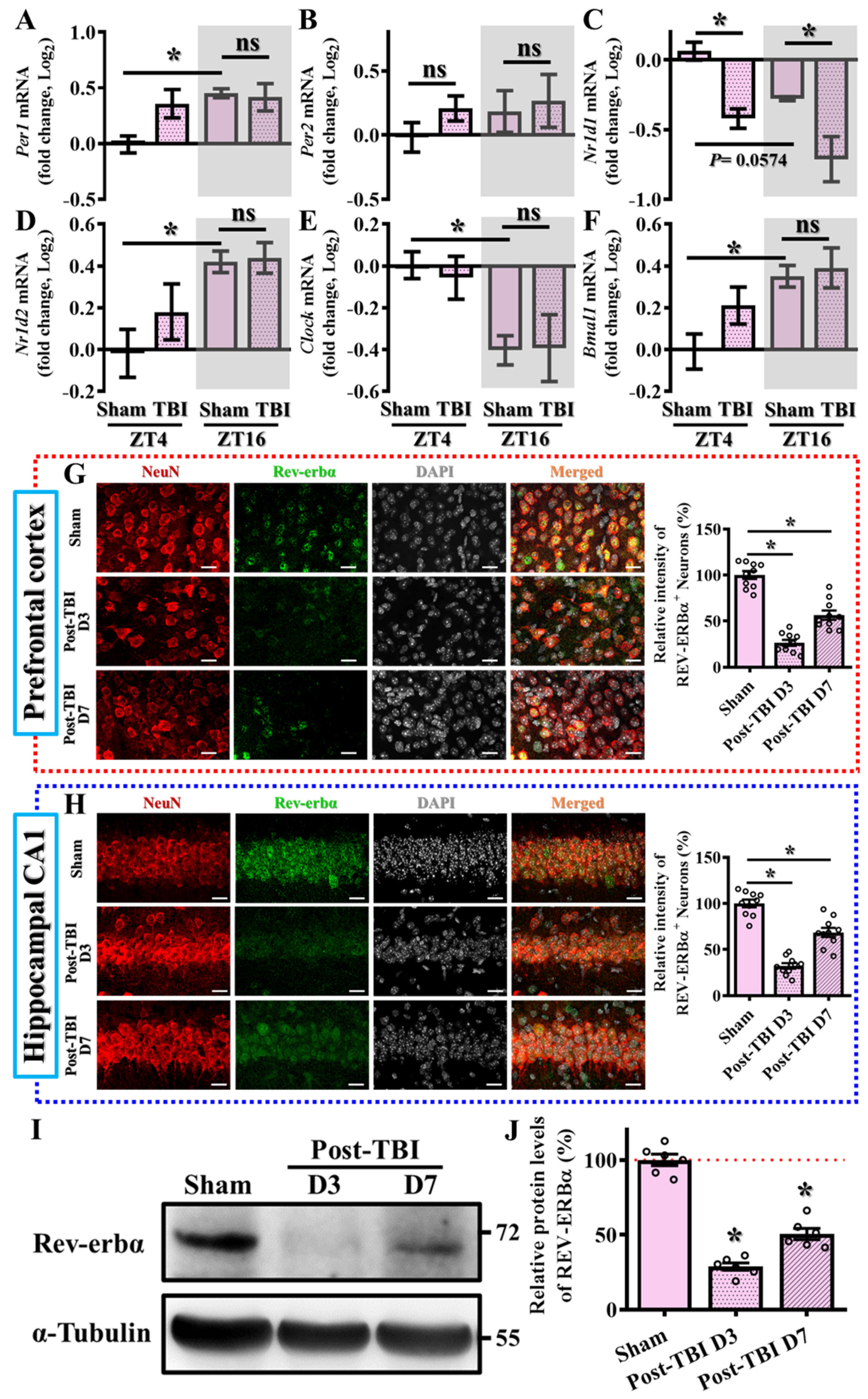 Antioxidants 13 00901 g001