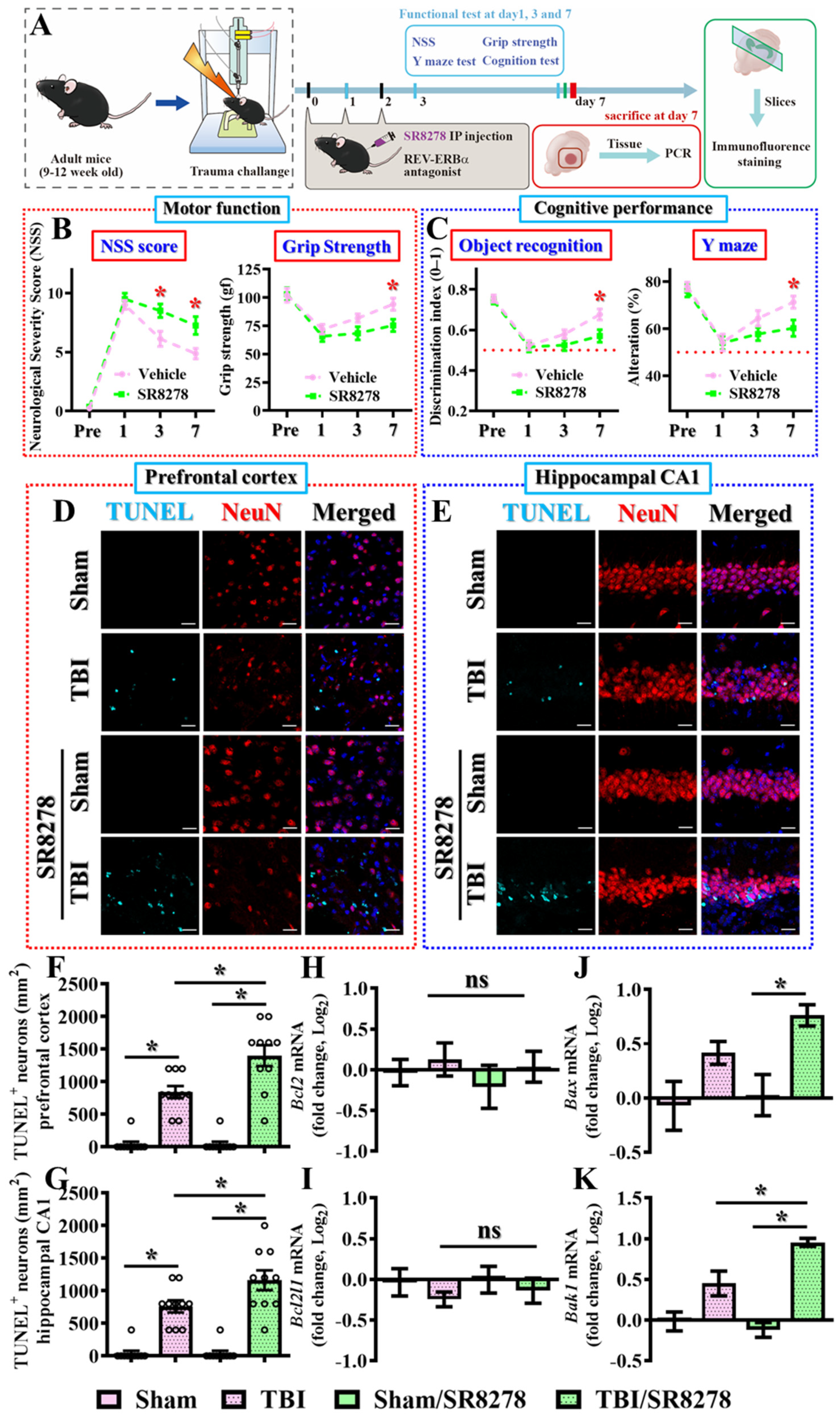 Antioxidants 13 00901 g003