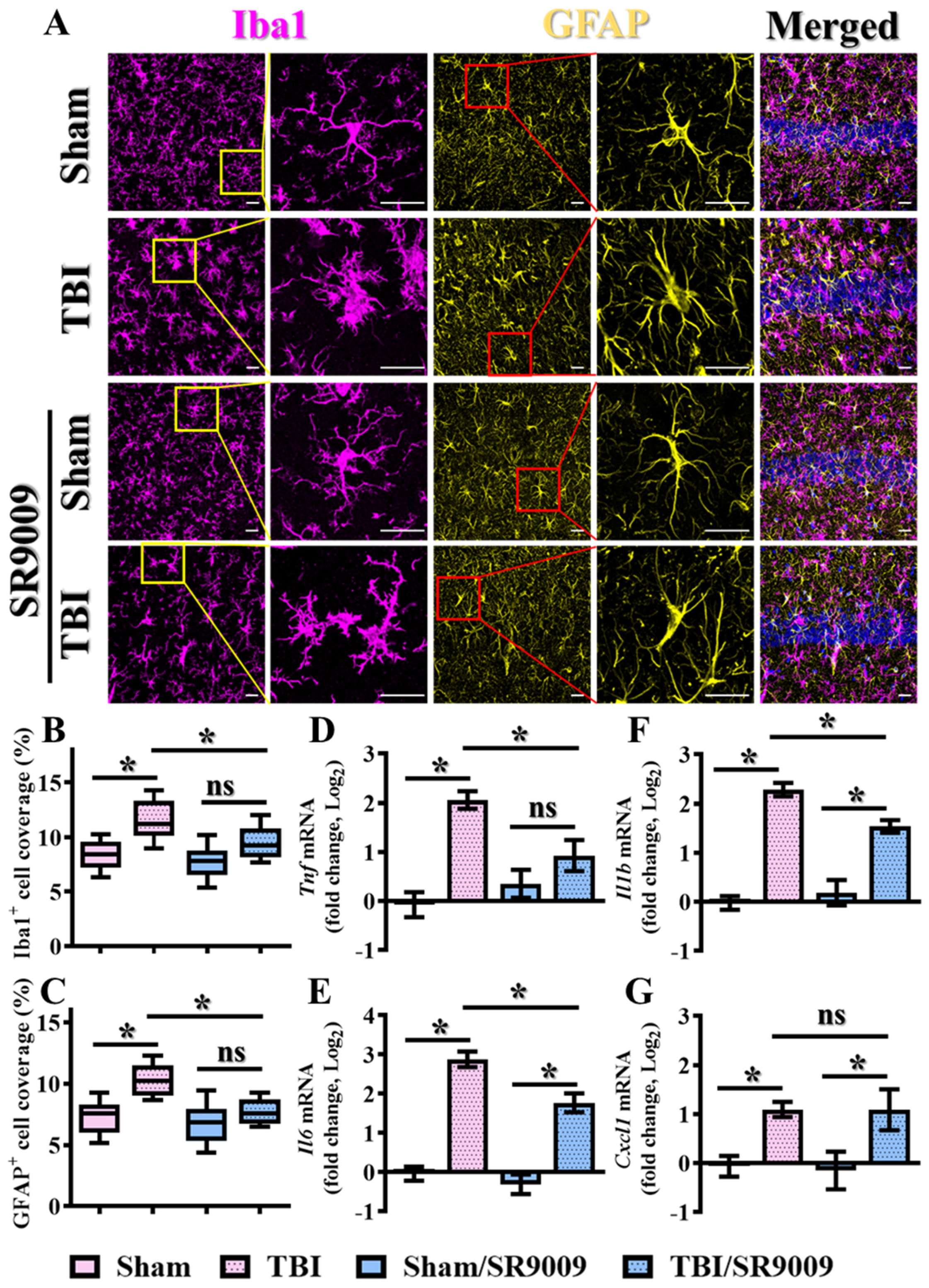 Antioxidants 13 00901 g006